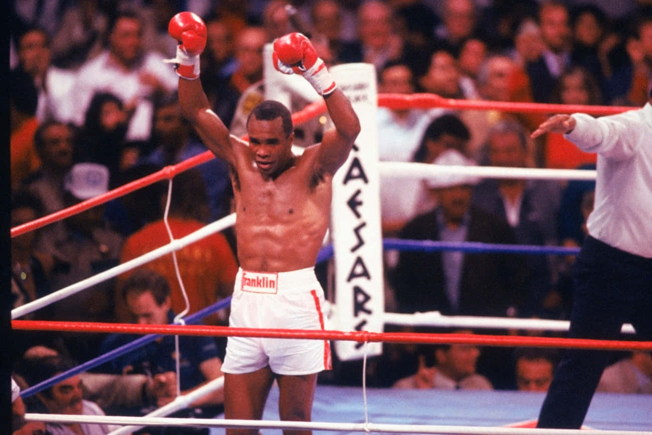 Ray Leonard, red gloves, ring, HD Desktop Wallpaper