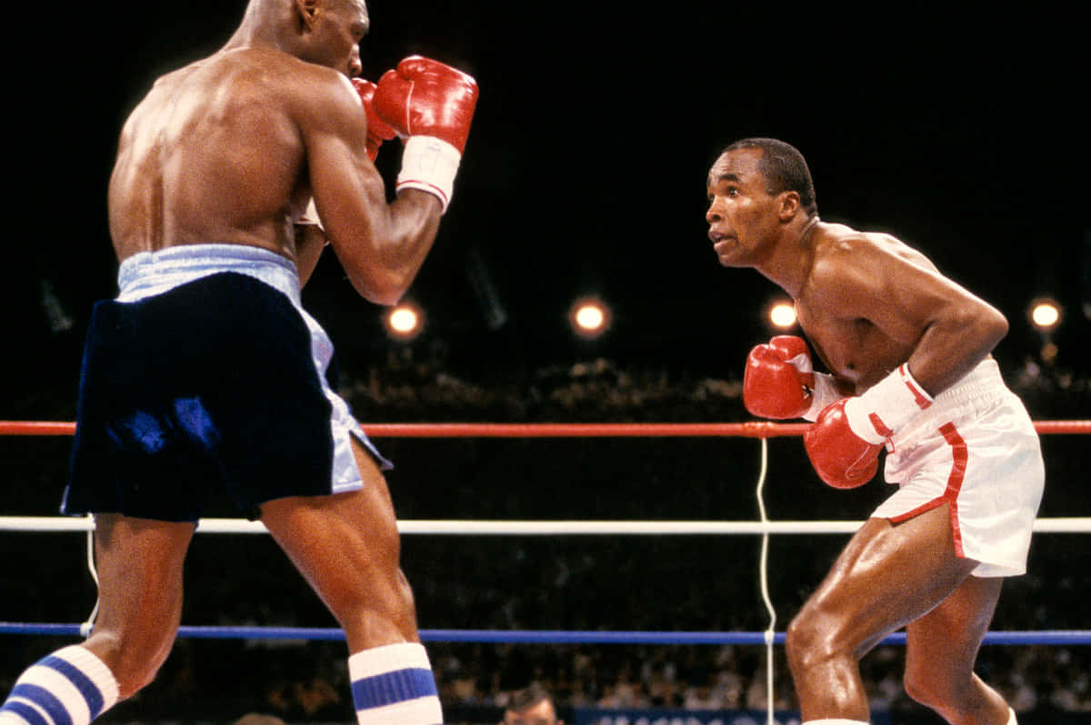 Ray Leonard, ring, arena lights, SD Desktop Wallpaper