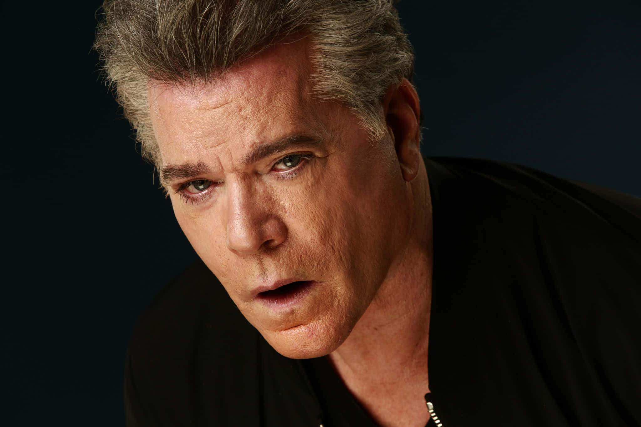 Ray Liotta, graying hair, intense eyes, Full HD Desktop Wallpaper