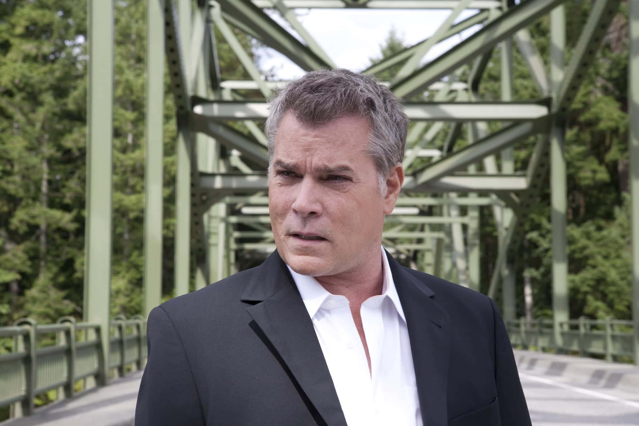 Ray Liotta, black suit, green metal bridge, Full HD Desktop Wallpaper