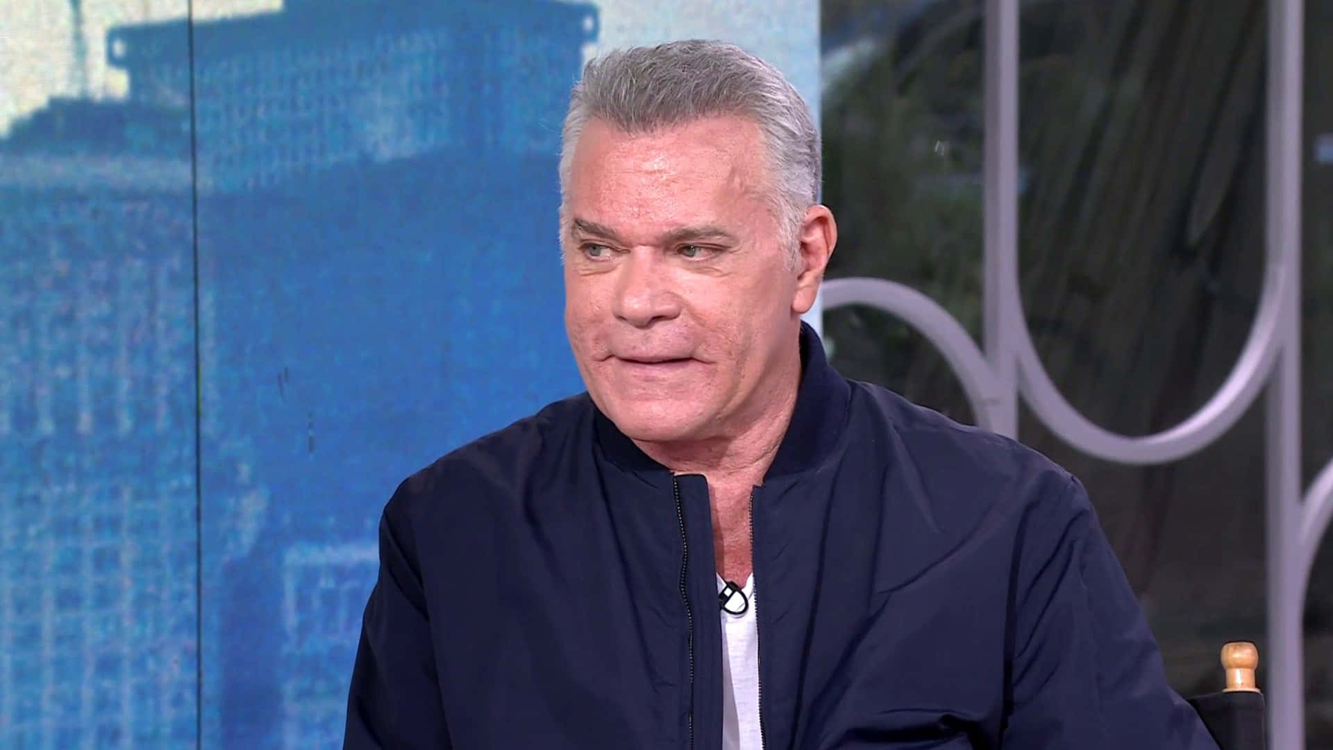 Ray Liotta, gray hair, dark jacket, Full HD Desktop Wallpaper