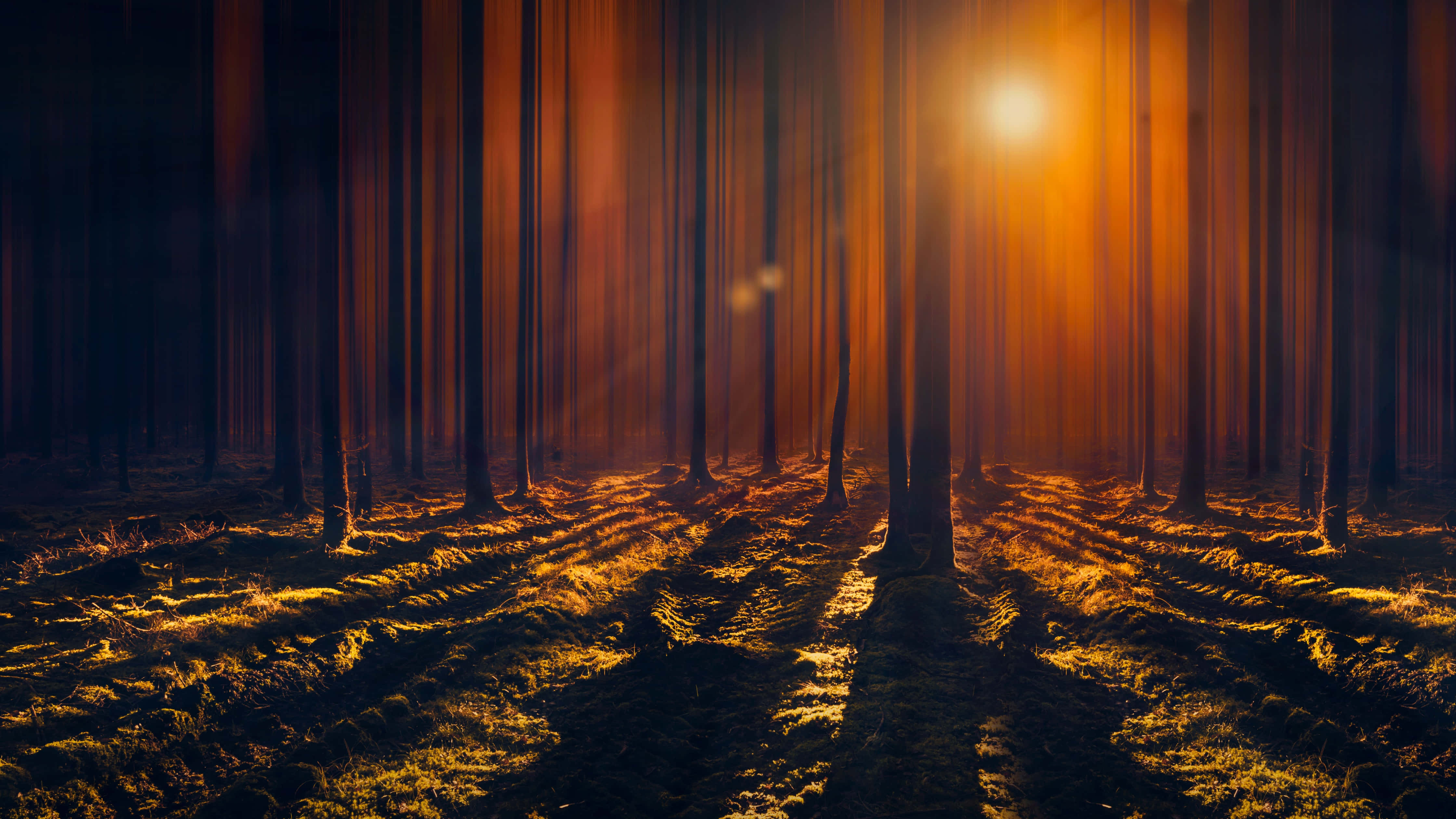sun rays, towering trees, golden sunlight, 4K Desktop Wallpaper