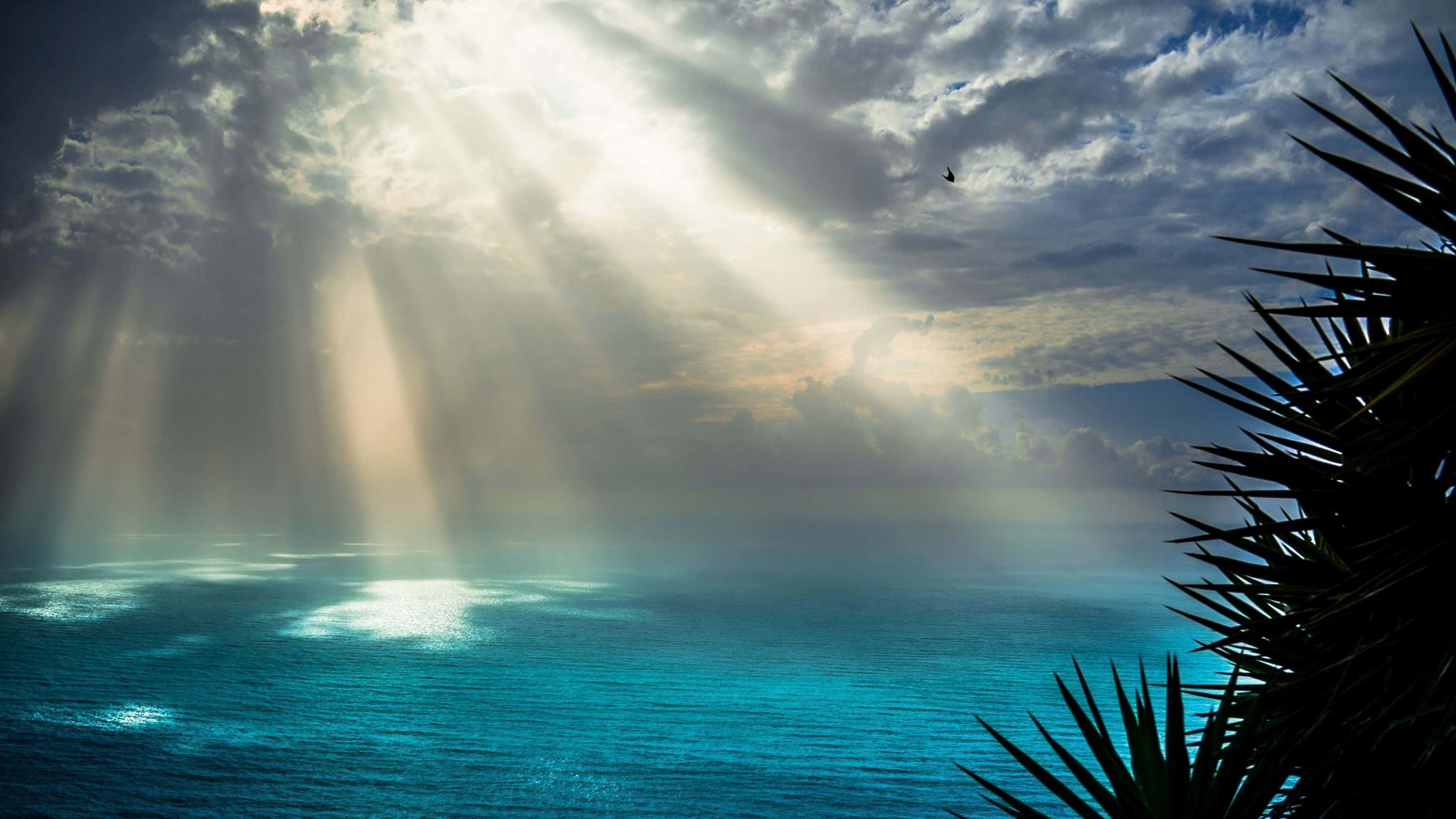 sun rays, turquoise ocean, dramatic clouds, 4K Desktop Wallpaper