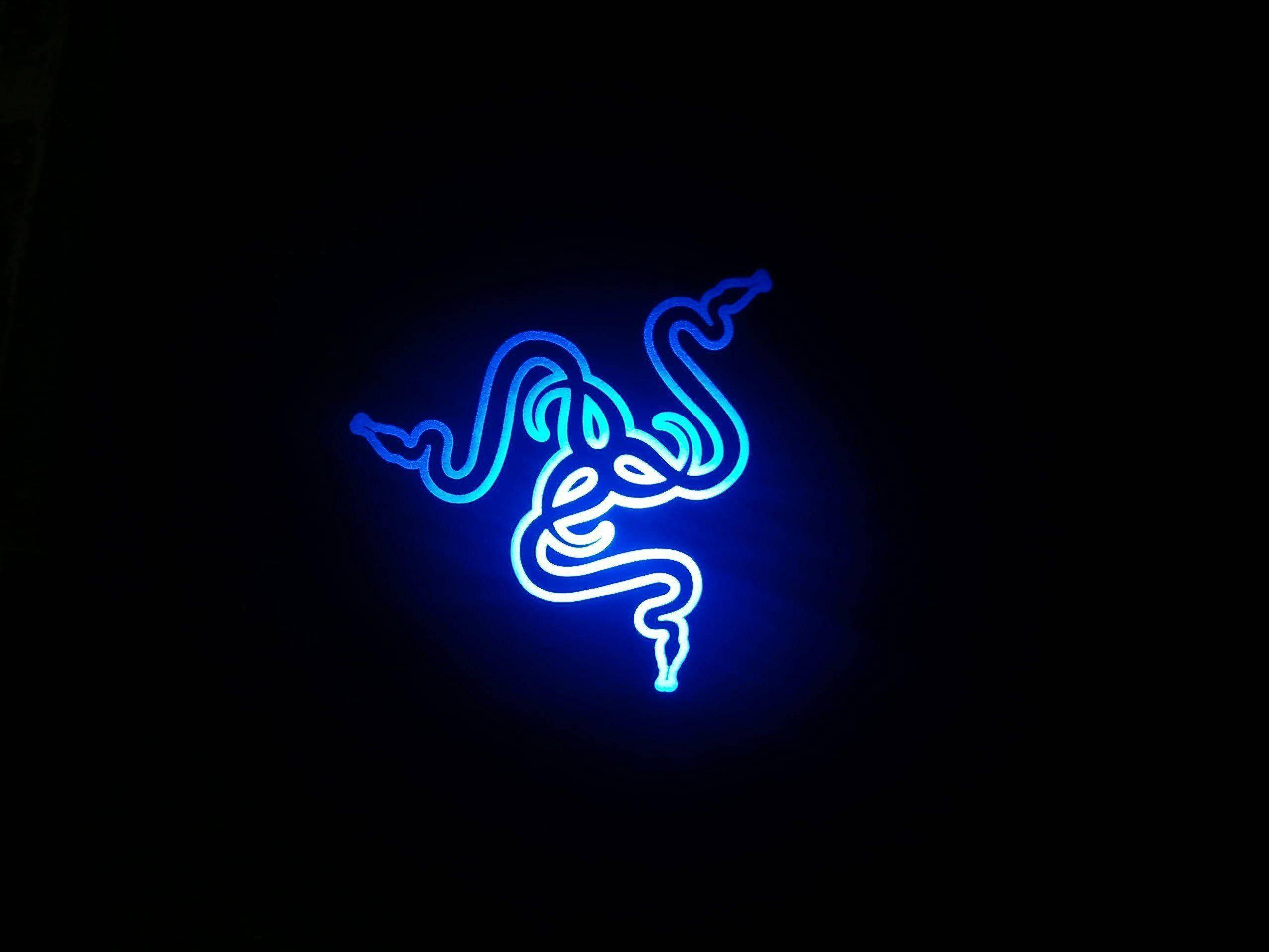 Razer, blue neon, coiled snake logo, 2K Desktop Wallpaper