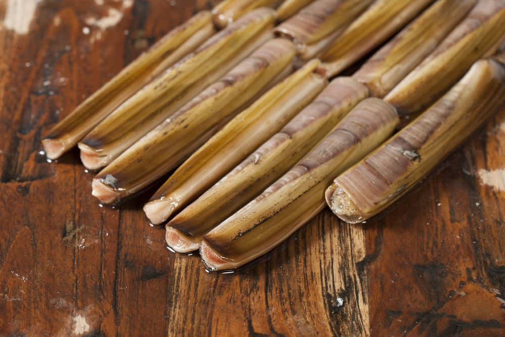 Razor Clam, glistening shells, weathered wooden surface, SD Desktop Wallpaper