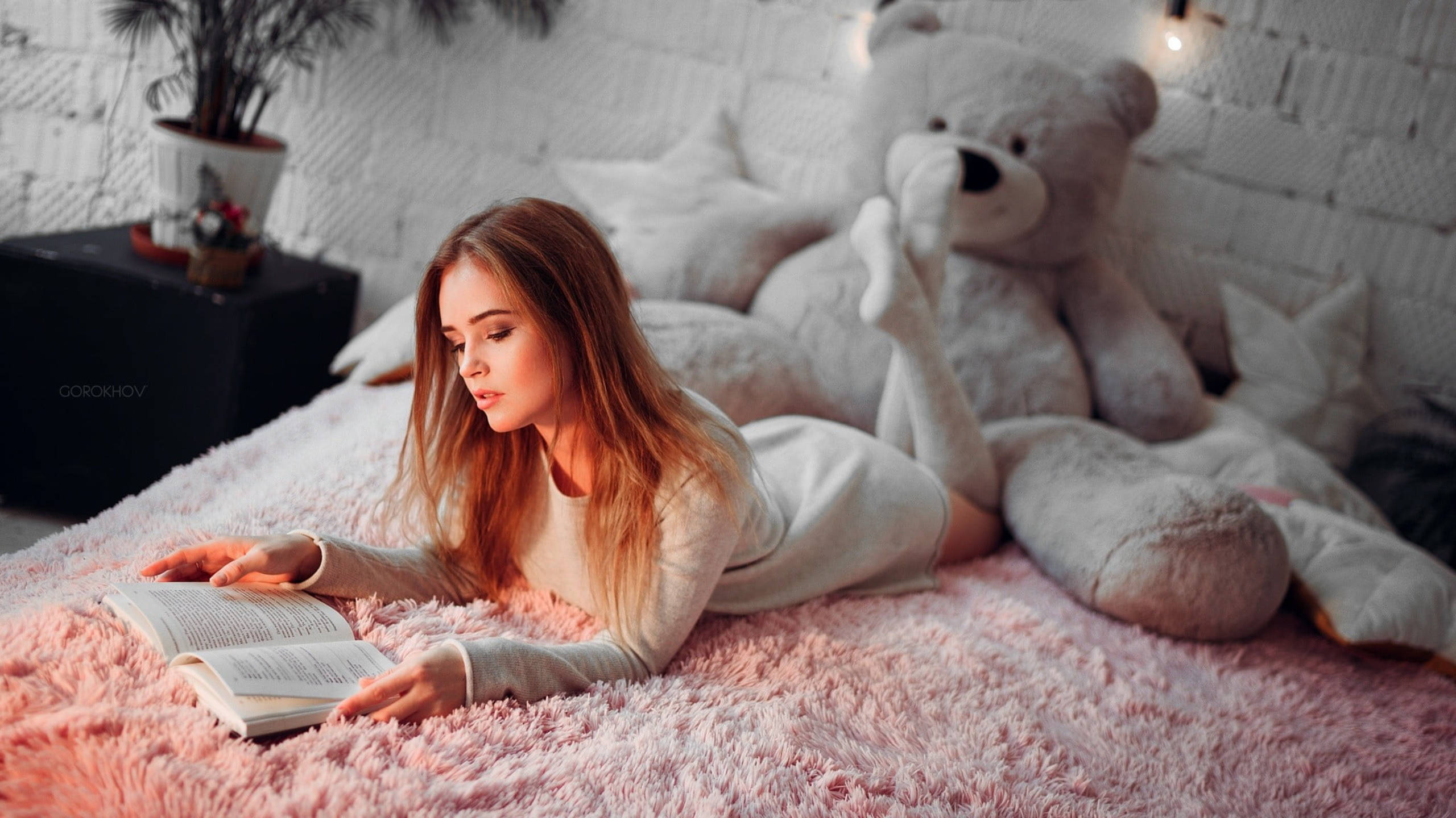 Reading Girl In Bed, fluffy pink rug, giant teddy bear, 2K Desktop Wallpaper