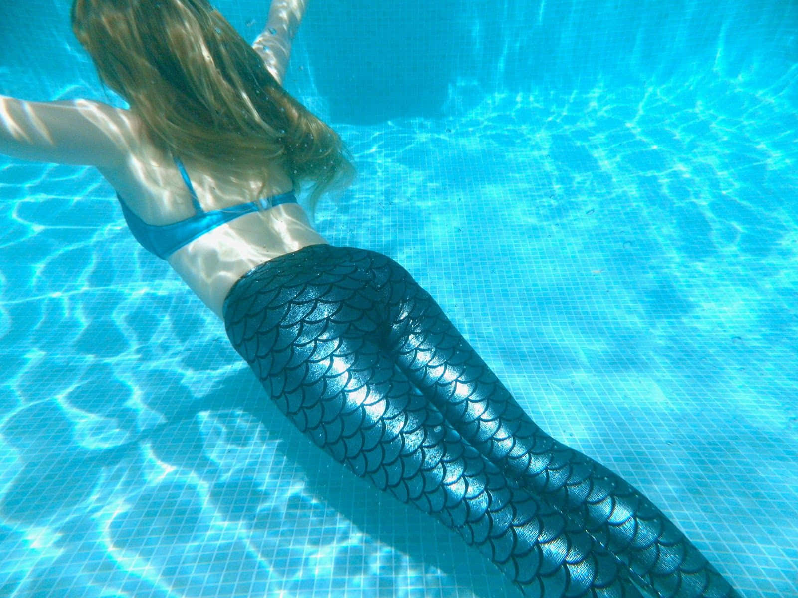 Real Mermaid, mermaid tail, sunlit blue tiled pool, HD Desktop Wallpaper