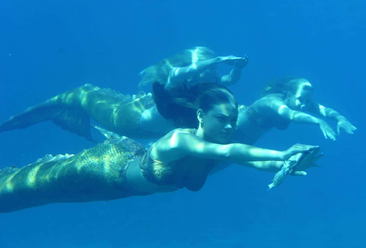 real mermaid, undersea adventure, three mermaids, HD Desktop Wallpaper