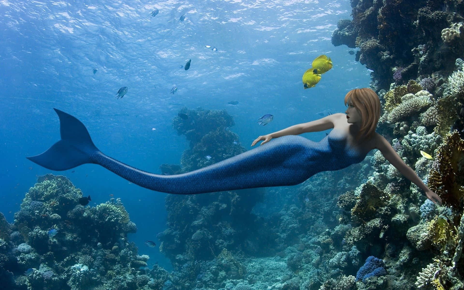 Real Mermaid, blue scaled tail, clear blue water, Full HD Desktop Wallpaper
