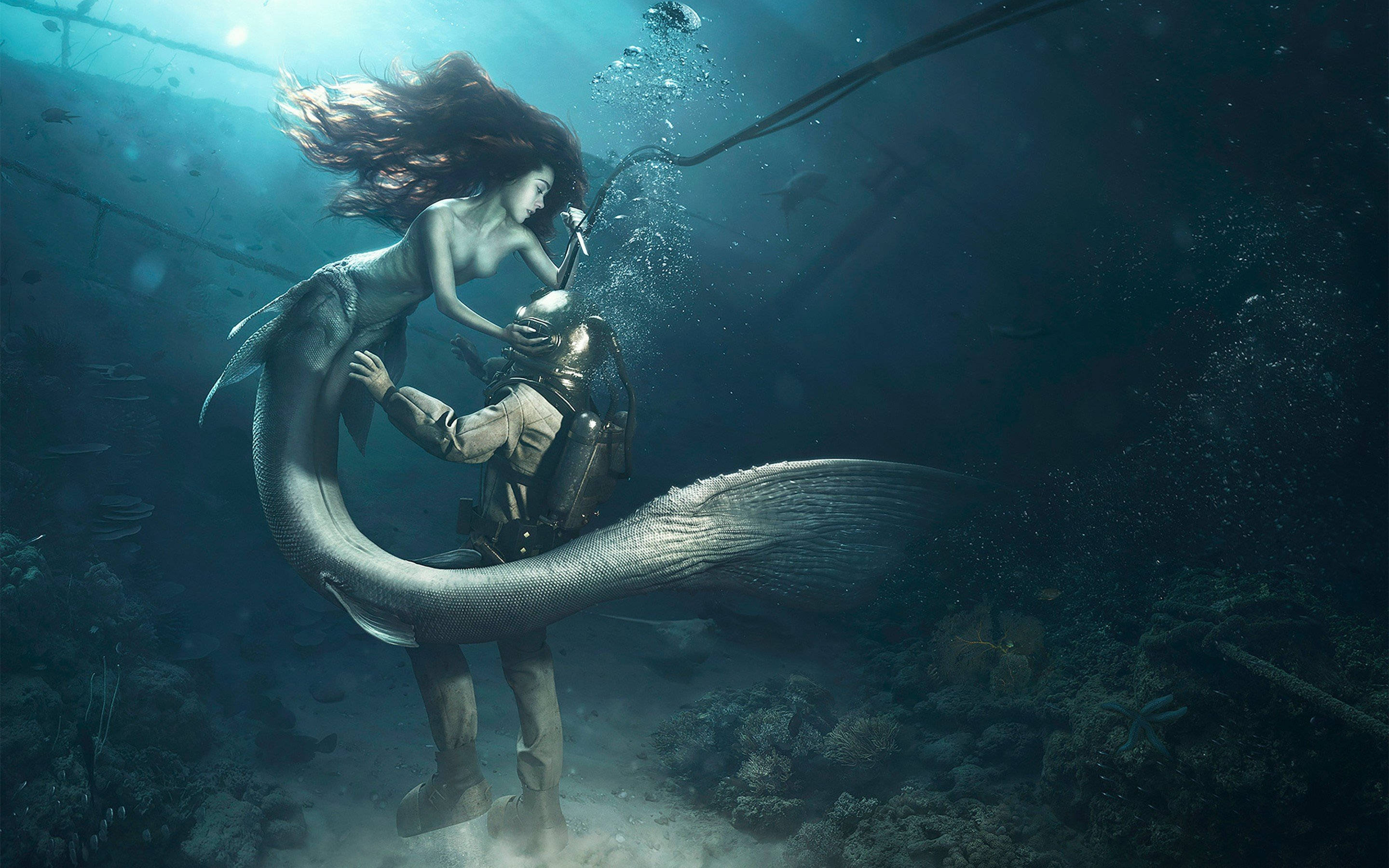mermaid, diver, sunken shipwreck, 2K Desktop Wallpaper