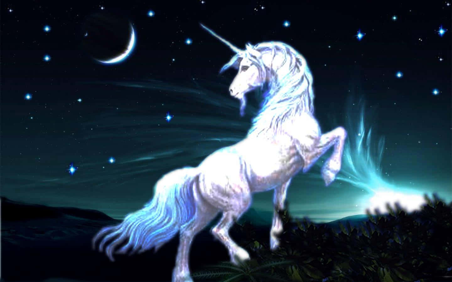 Real Unicorn, glowing white unicorn, starry night sky, HD Desktop Wallpaper