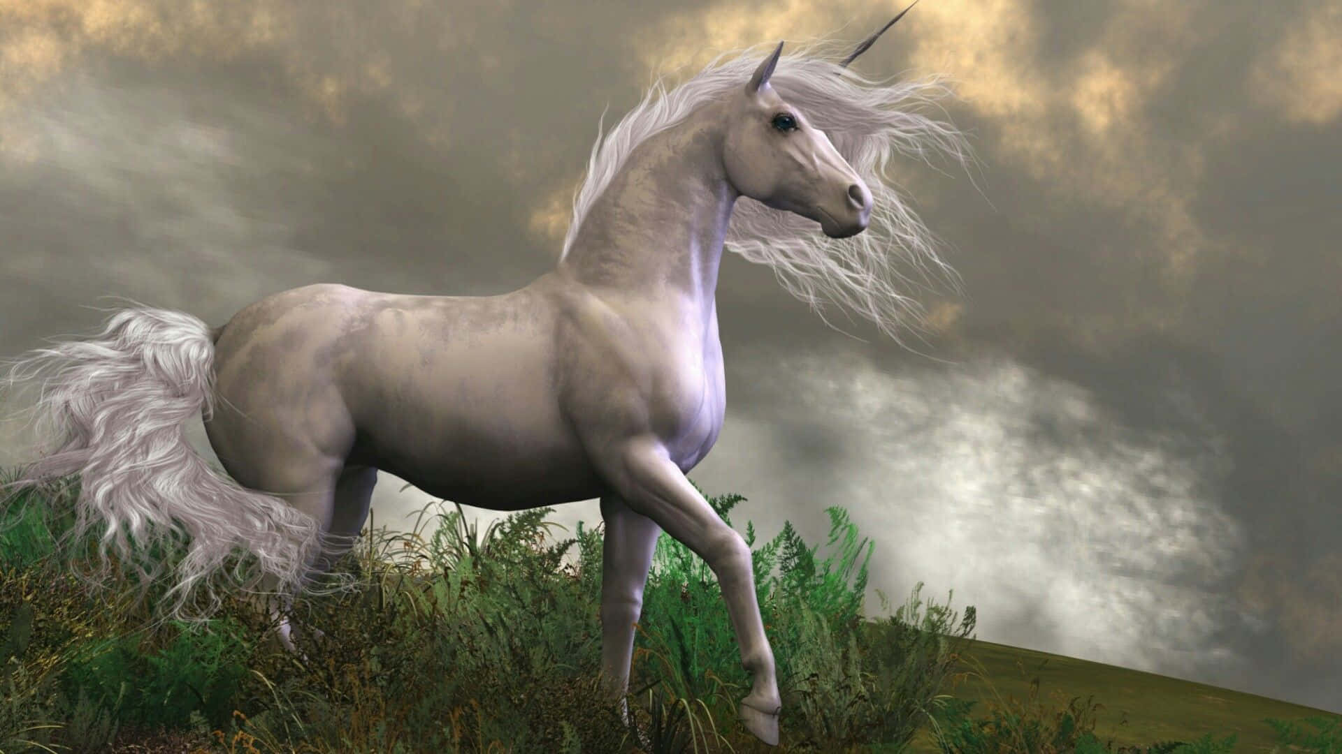 Real Unicorn, white unicorn, dark forest, Full HD Desktop Wallpaper