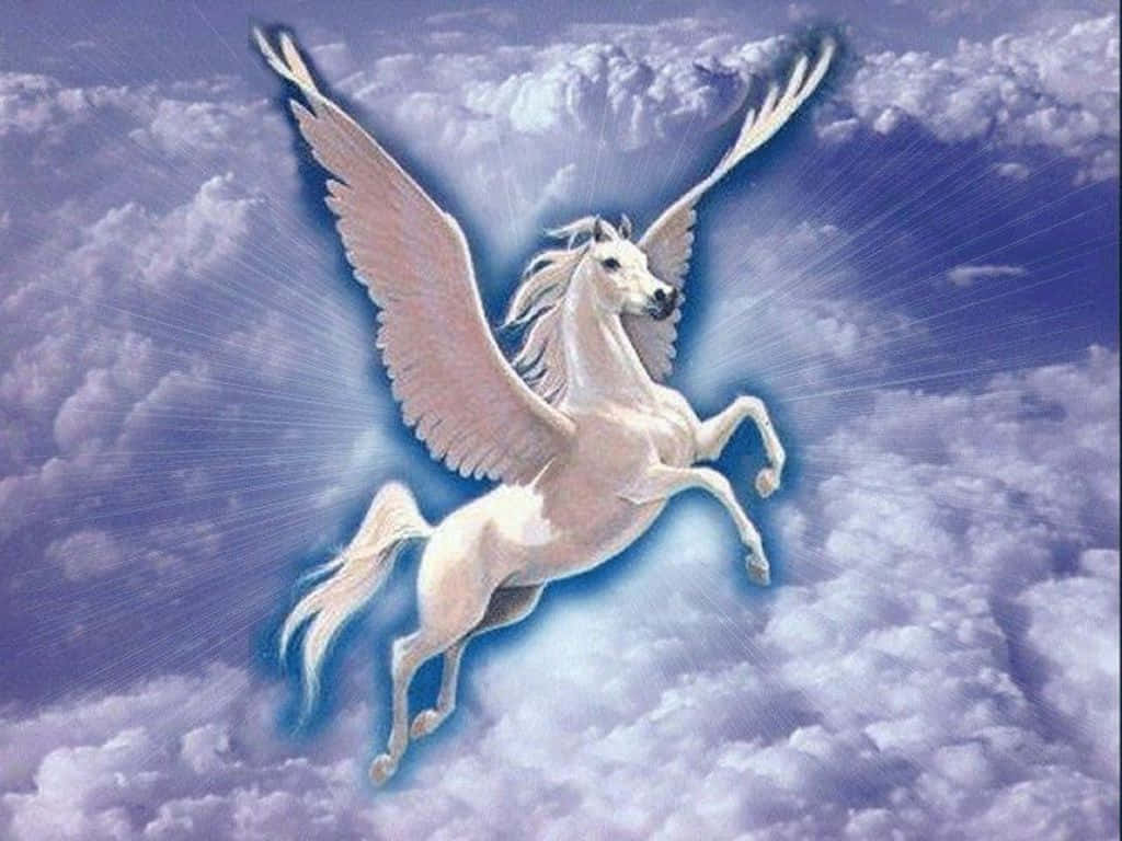 Real Unicorn, white winged horse, vibrant purple sky, SD Desktop Wallpaper
