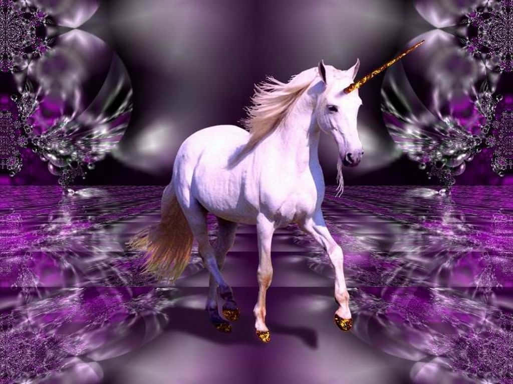 Real Unicorn, white unicorn, golden horn, SD Desktop Wallpaper