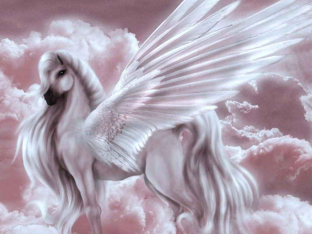 Real Unicorn, white winged horse, flowing mane, SD Desktop Wallpaper