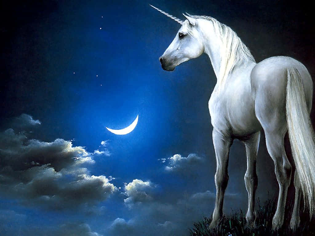 white unicorn, crescent moon, deep blue night sky, SD Desktop Wallpaper