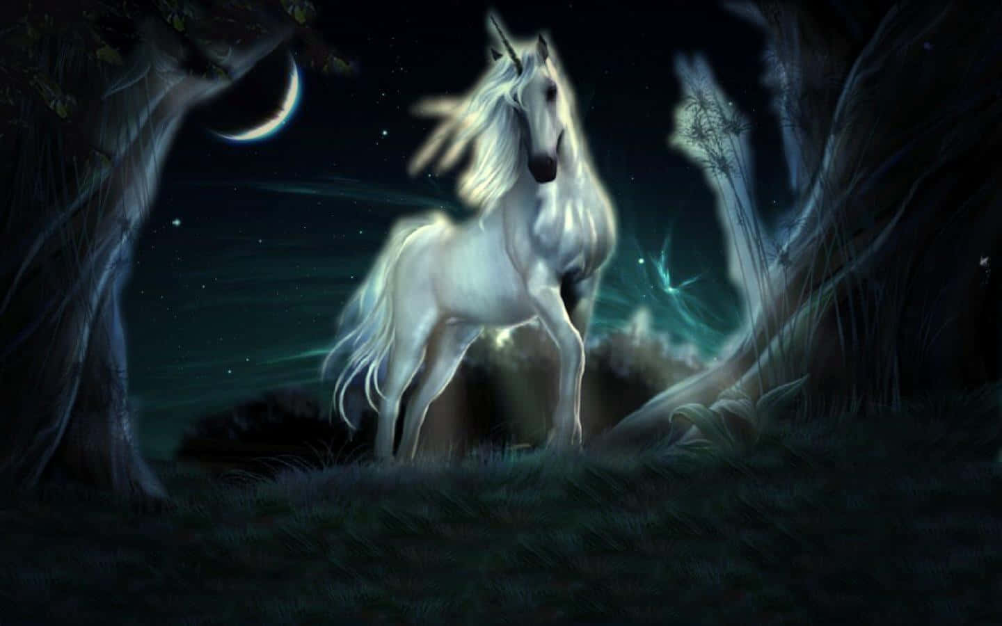 real unicorn, luminous white unicorn, moonlit forest clearing, HD Desktop Wallpaper