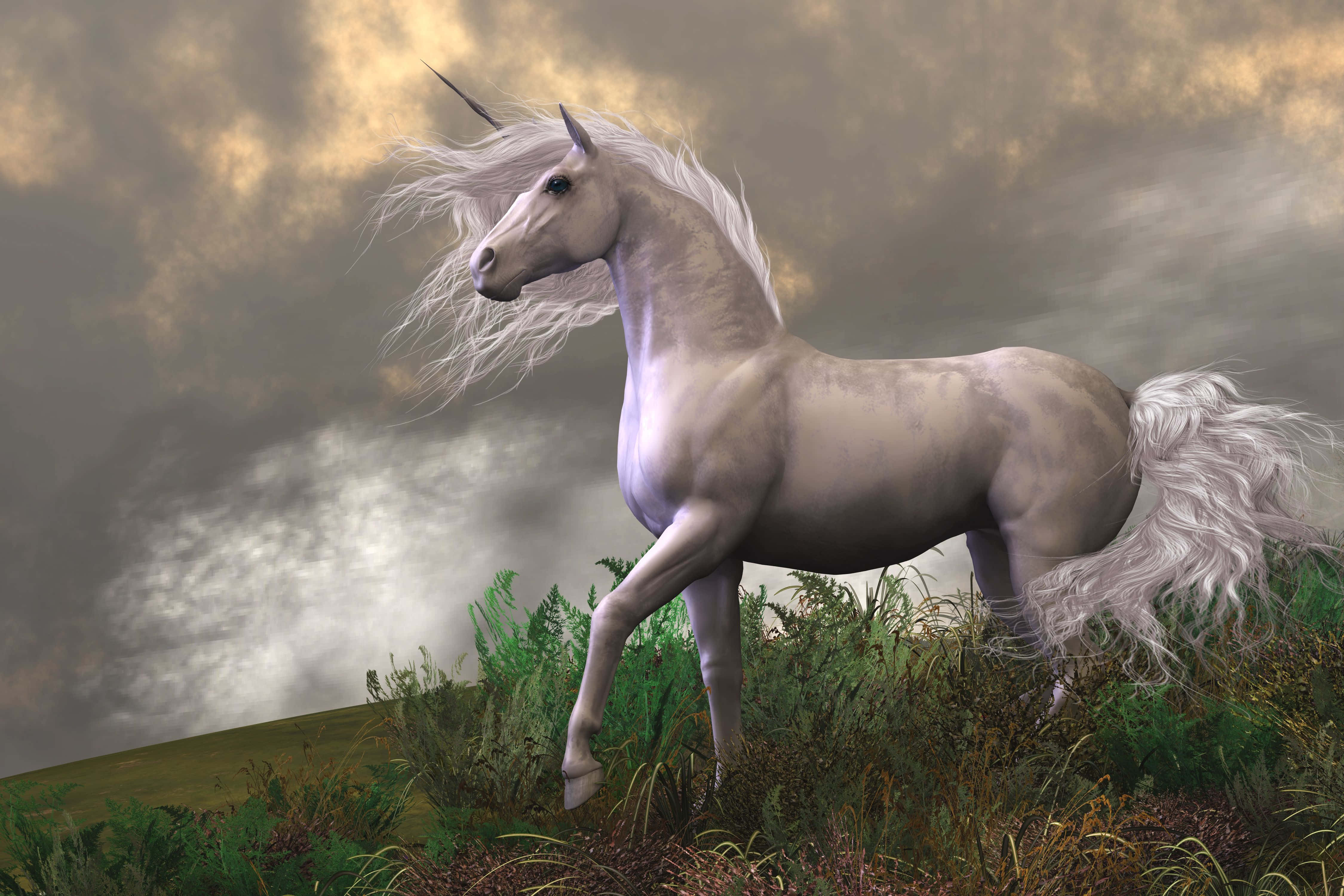 white unicorn, grassy field, cloudy sky, 4K Desktop Wallpaper