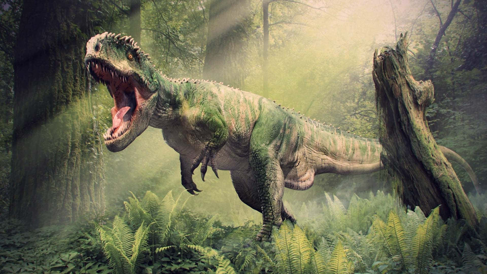 realistic dinosaur, green dinosaur, spiked back, Full HD Desktop Wallpaper