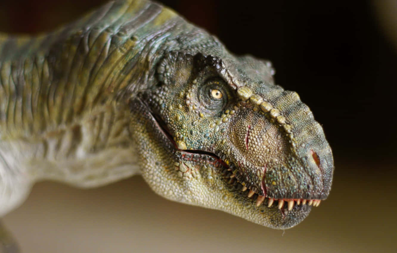 realistic dinosaur, dinosaur head, sharp teeth, HD Desktop Wallpaper