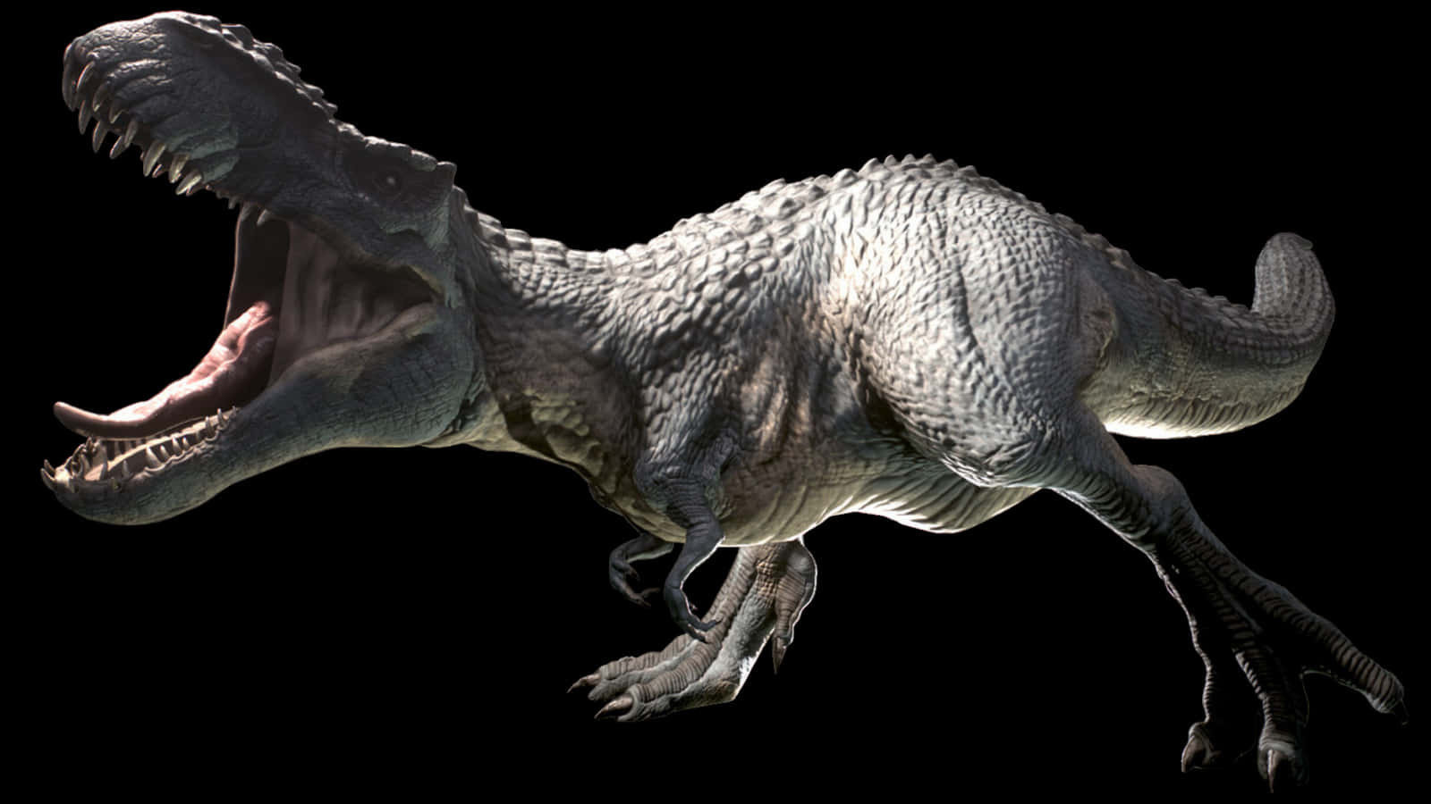 tyrannosaurus rex, textured gray skin, sharp teeth, HD Desktop Wallpaper