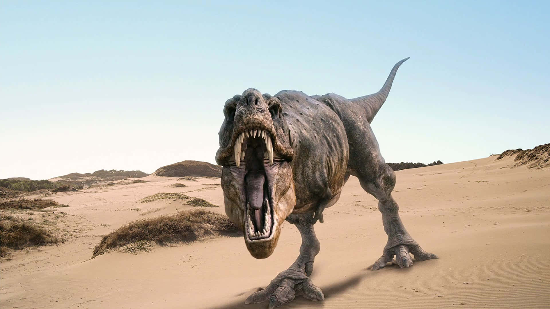 tyrannosaurus rex, desert, sand dunes, Full HD Desktop Wallpaper