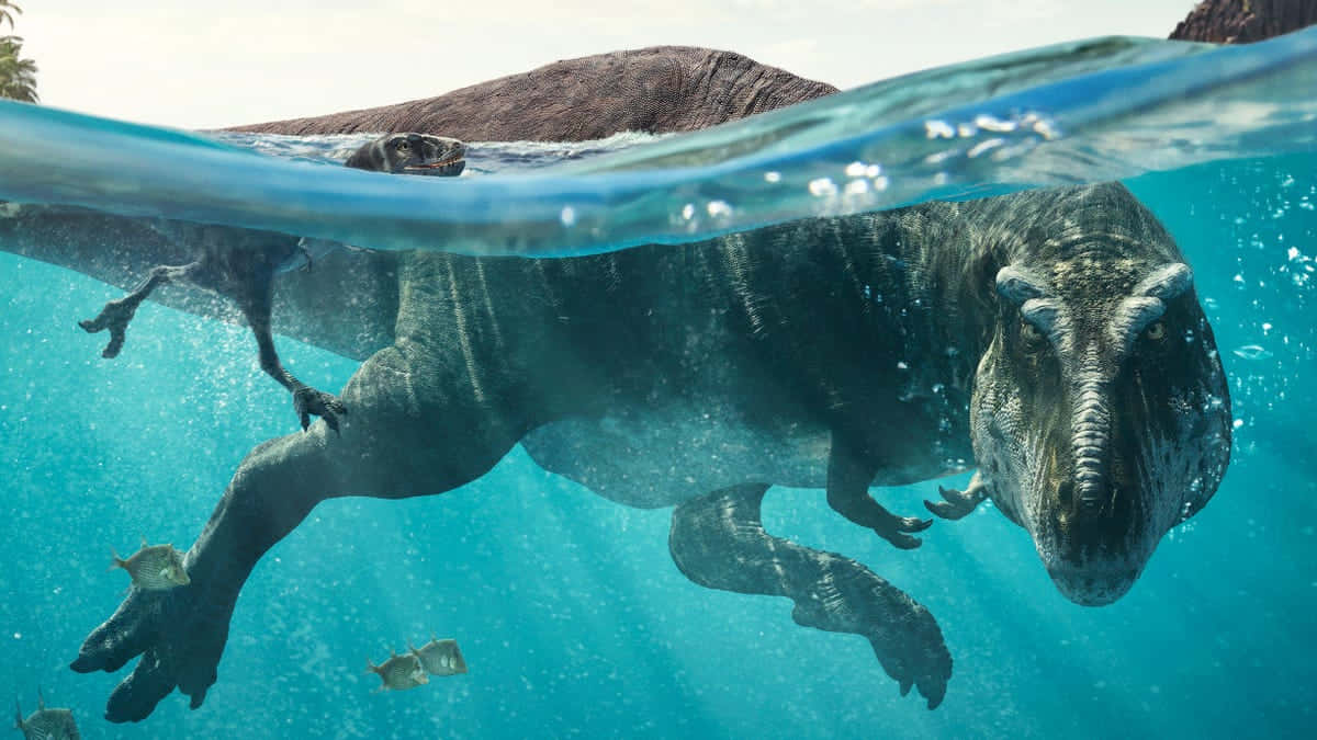 realistic dinosaur, massive dinosaur, underwater, SD Desktop Wallpaper