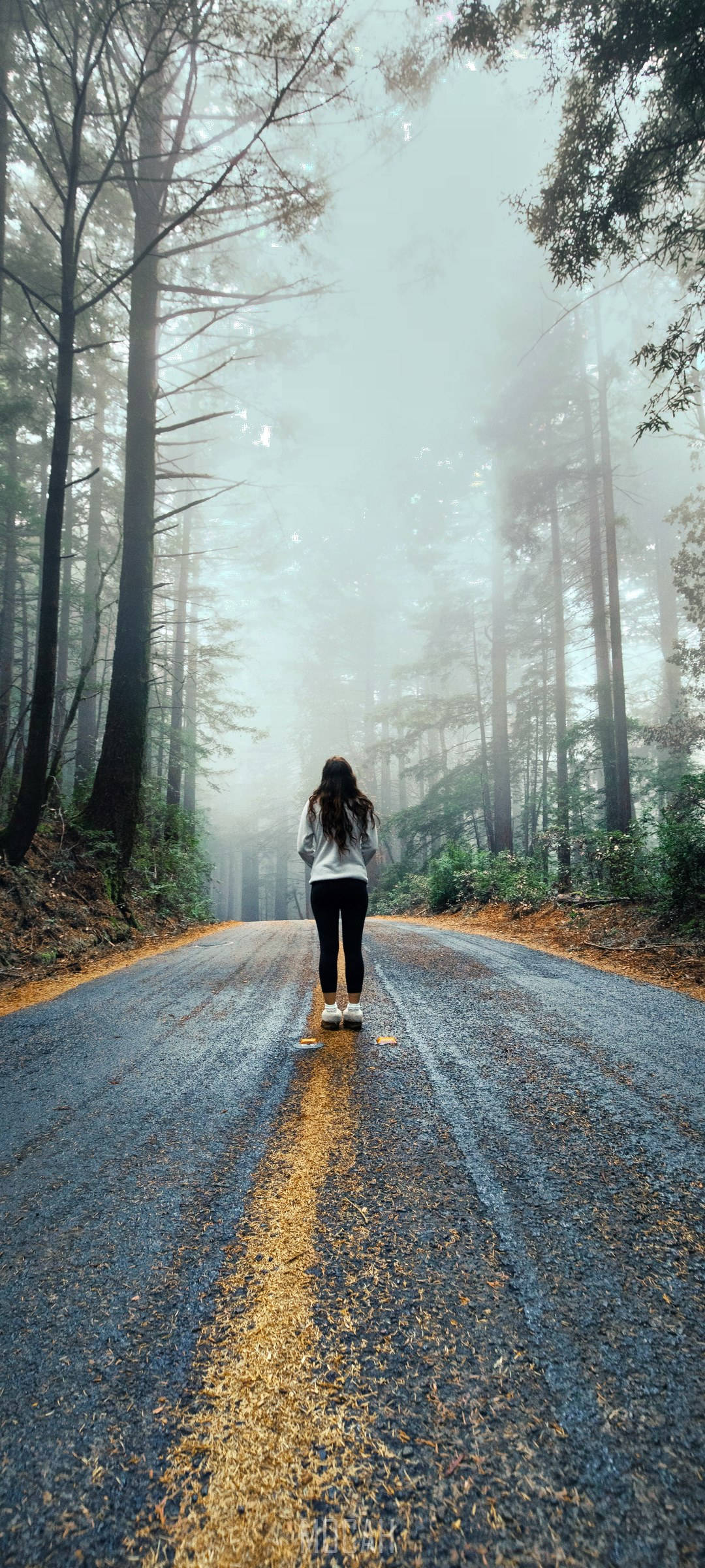 Realme 7 Pro, woman, misty forest road, Full HD Phone Wallpaper