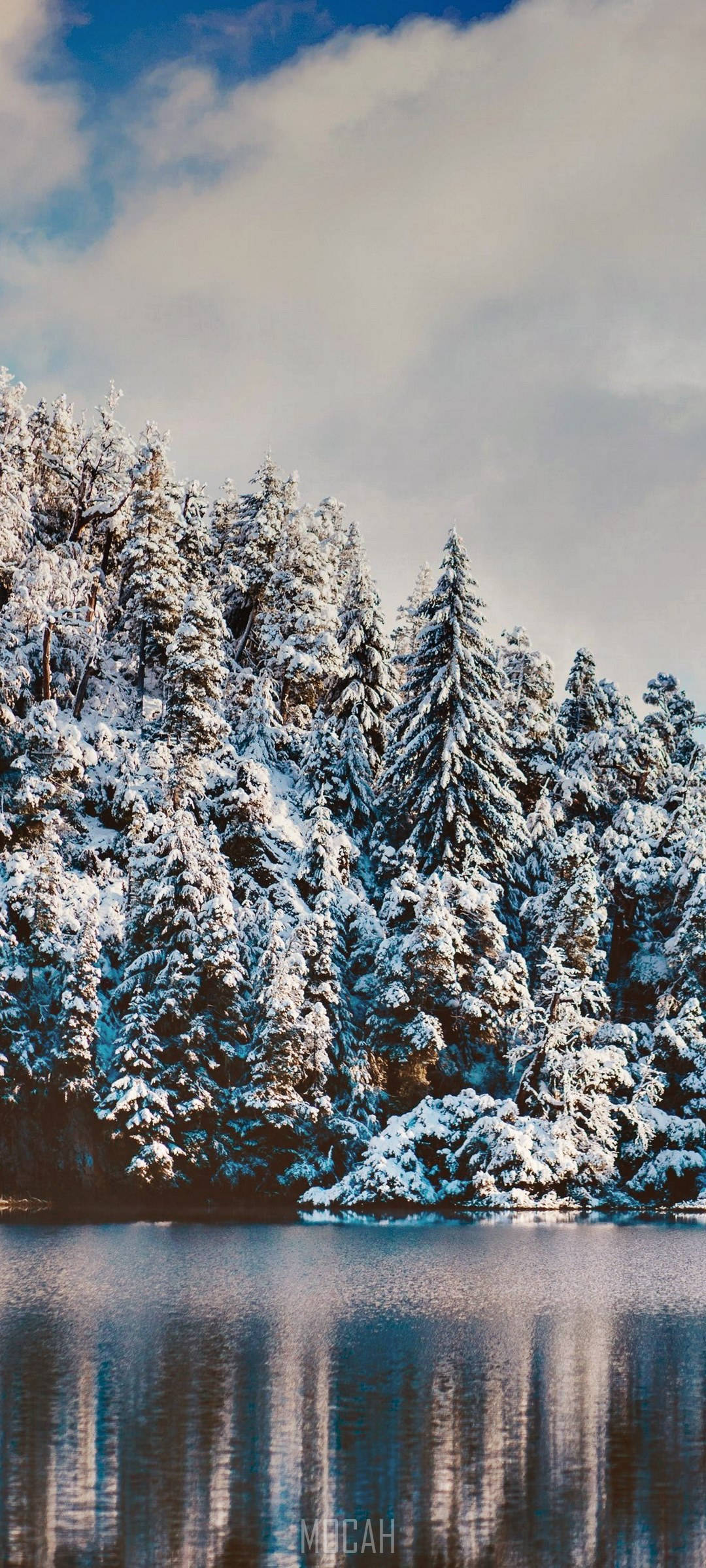 Realme 7 Pro, snowy forest, snow-laden evergreen trees, Full HD Phone Wallpaper