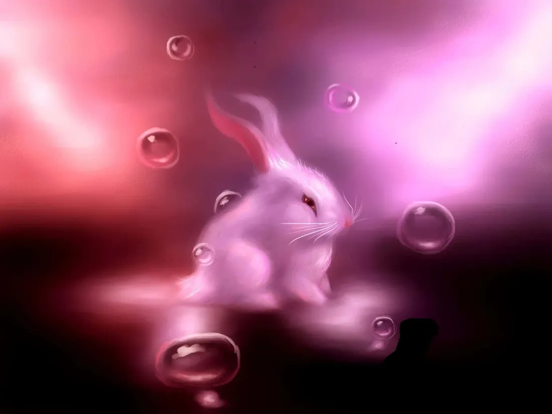 Rebecca Rabbit