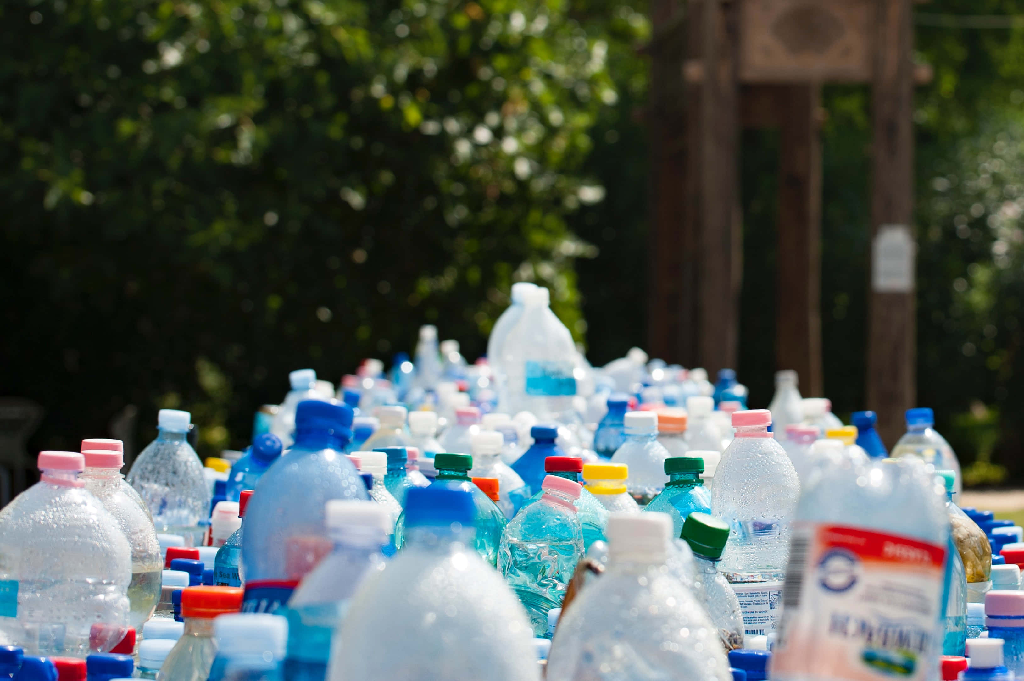 plastic water bottles, colorful caps, grass, 2K Desktop Wallpaper