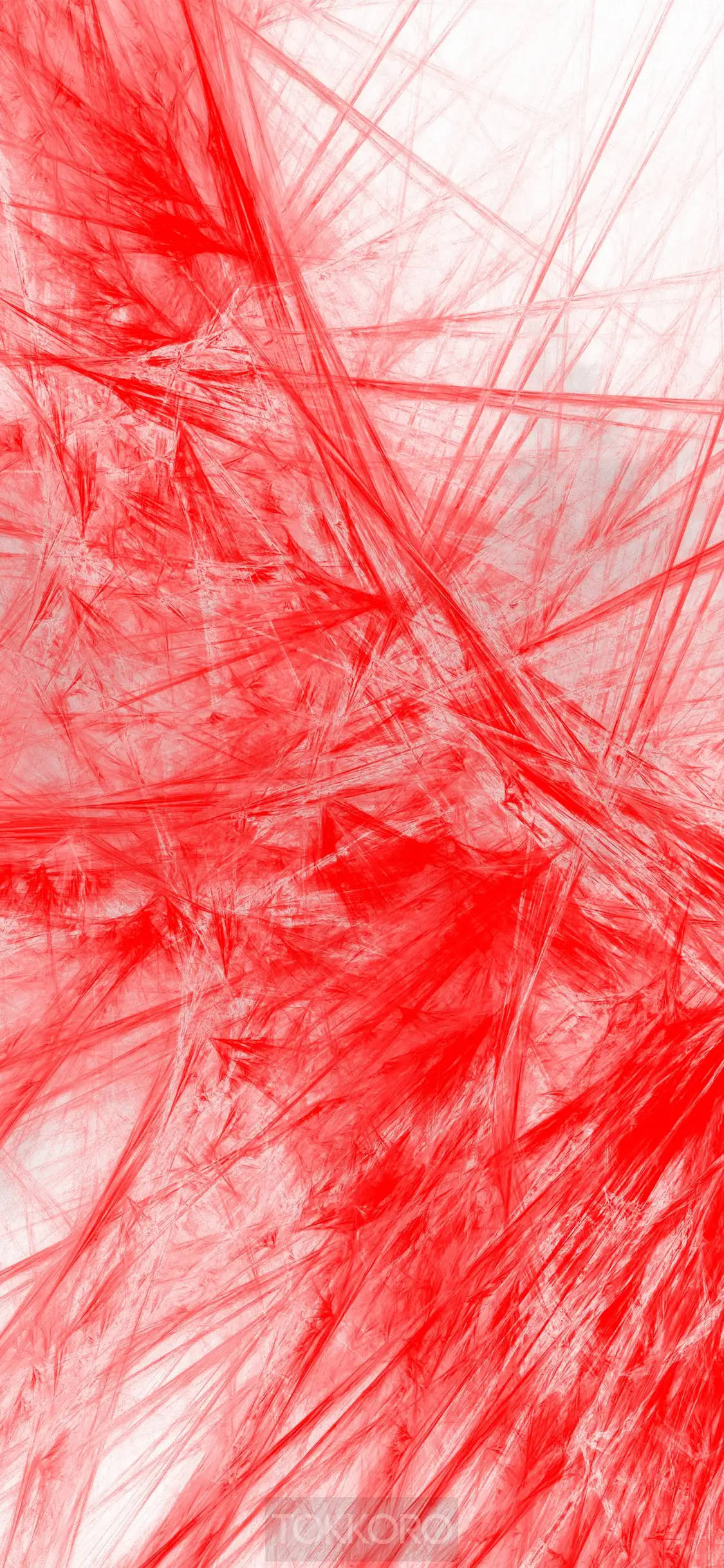 iPhone 11 Pro, red, fractal lines, Full HD Phone Wallpaper