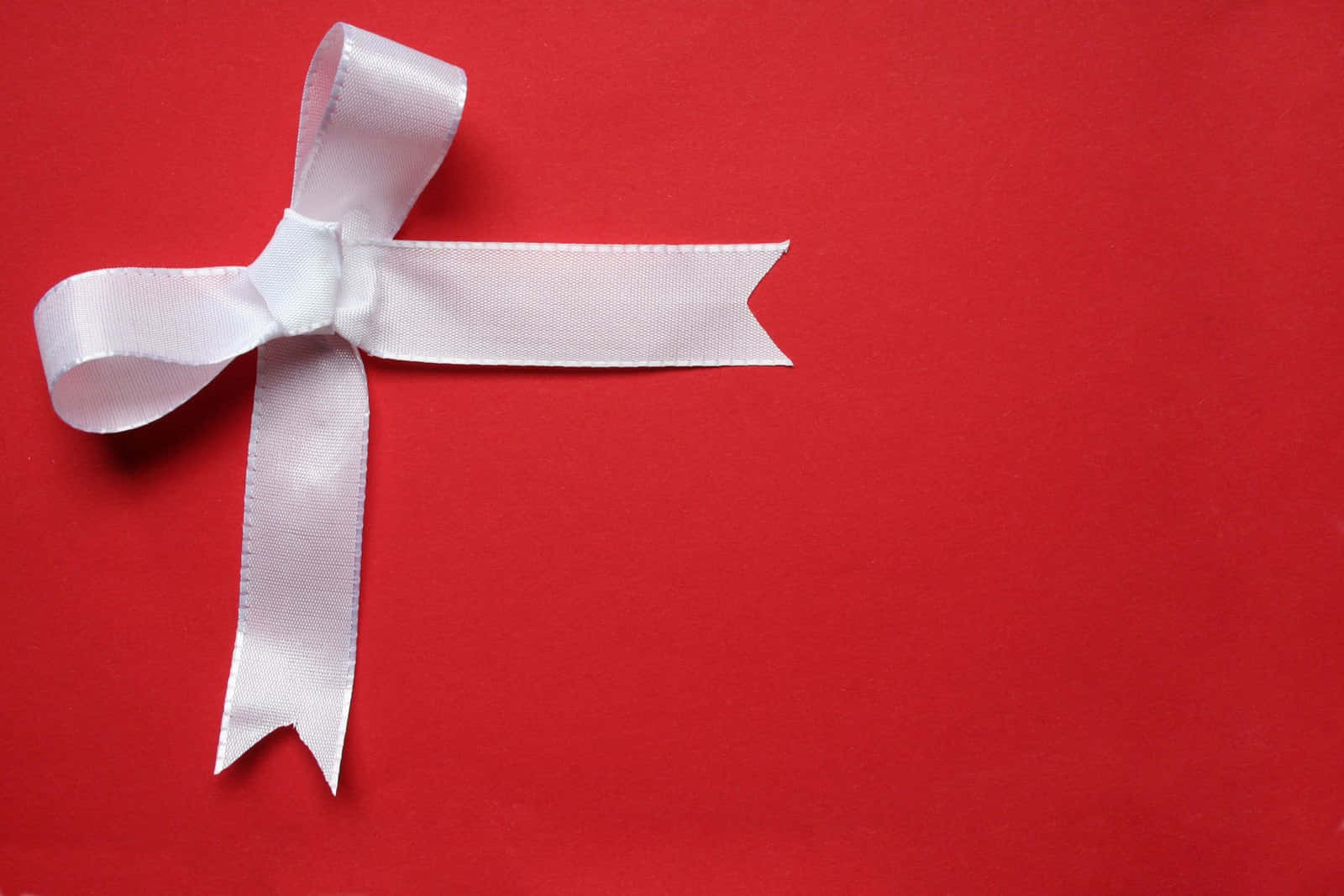 Red Aesthetic Christmas, white satin bow, bold red background, HD Desktop Wallpaper