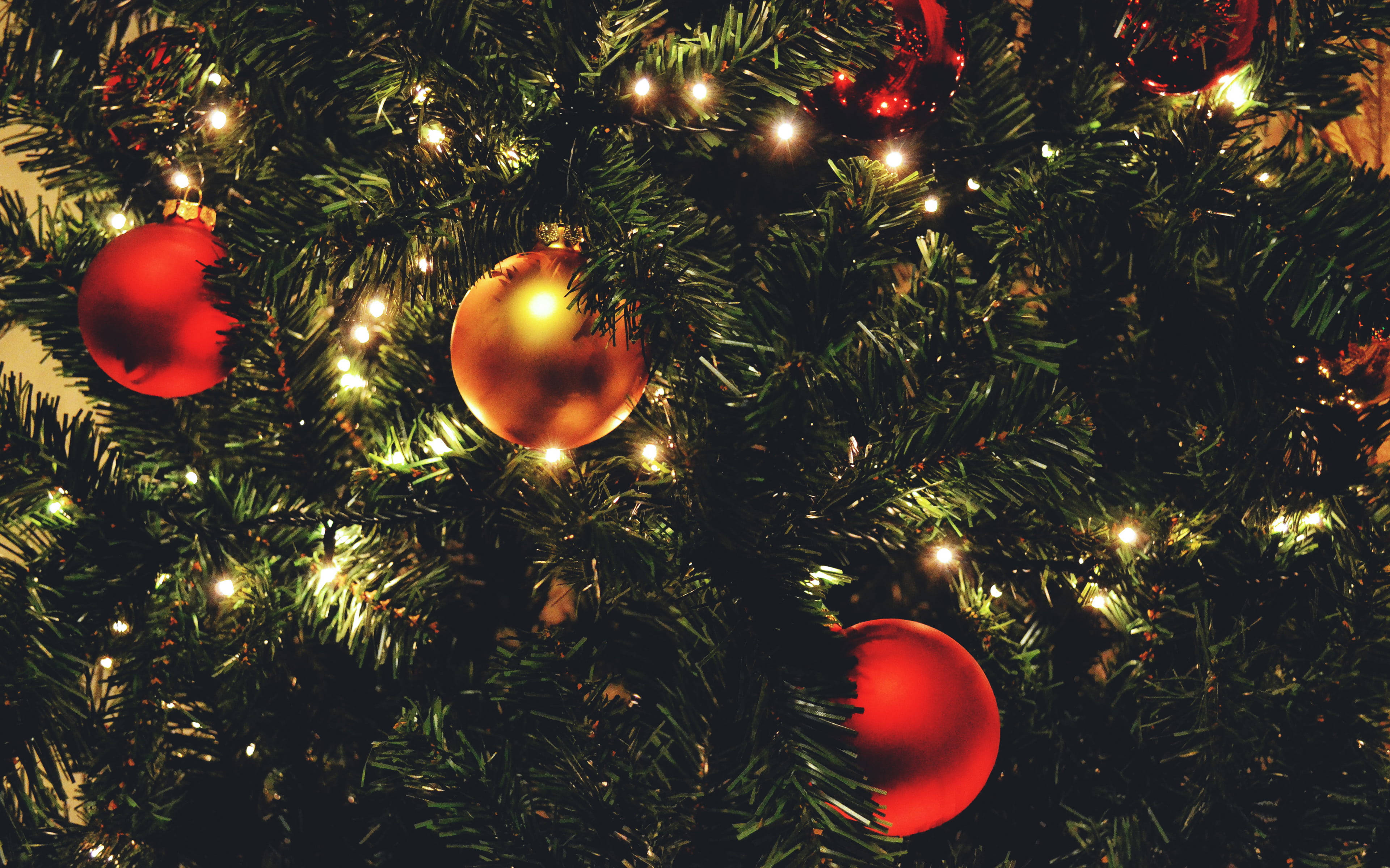 Christmas tree, glowing fairy lights, shiny red ornaments, 4K Desktop Wallpaper