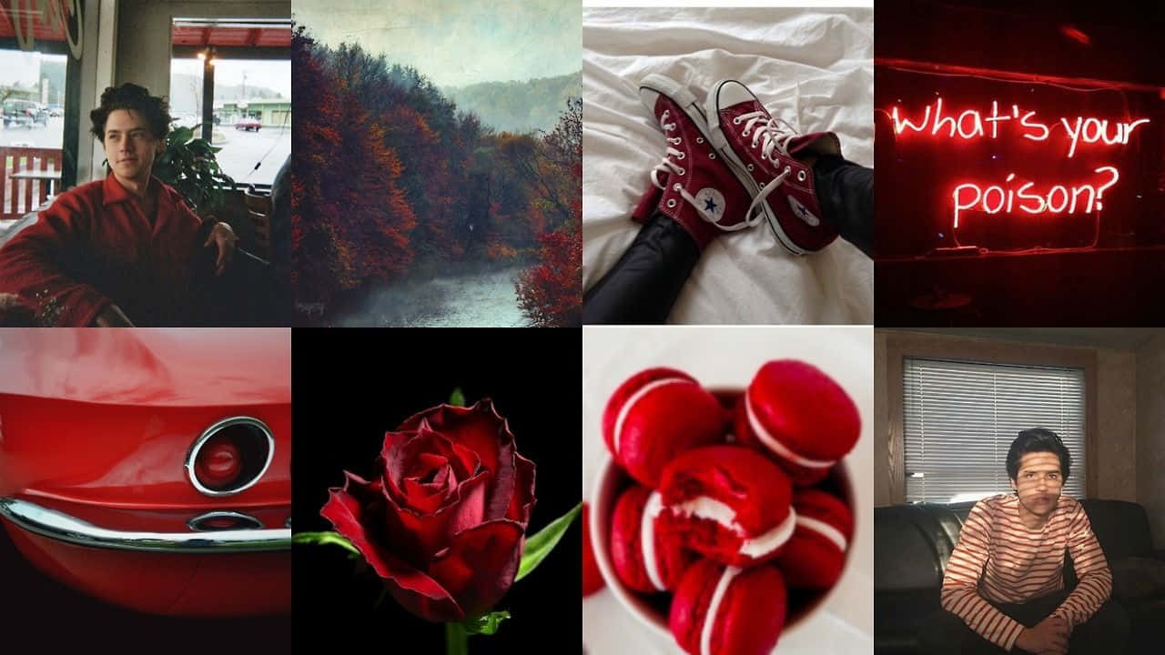 red aesthetic laptop collection, red robe, autumn forest, HD Desktop Wallpaper
