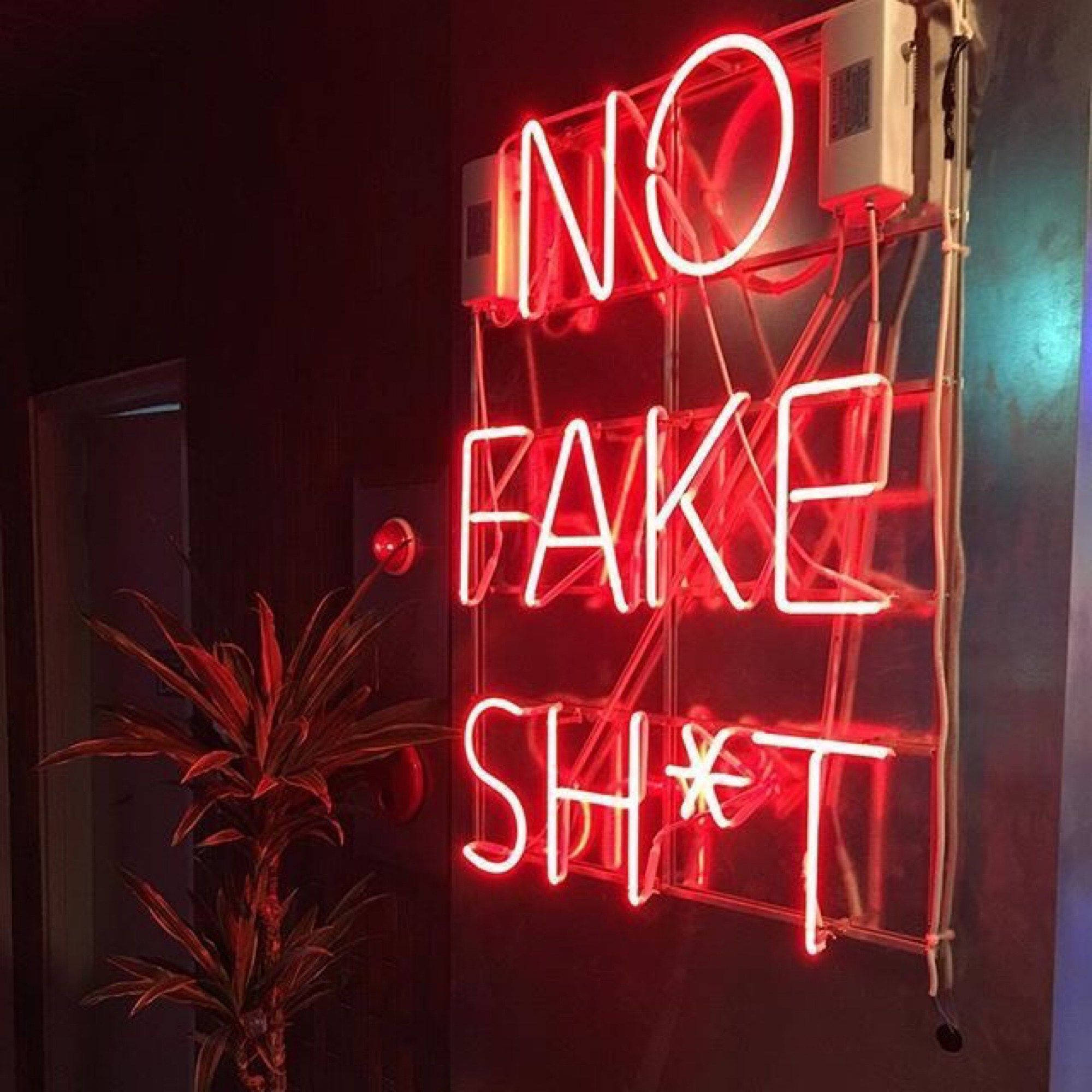 Red Aesthetic Neon, NO FAKE SH*T, red neon sign, Full HD Desktop Wallpaper