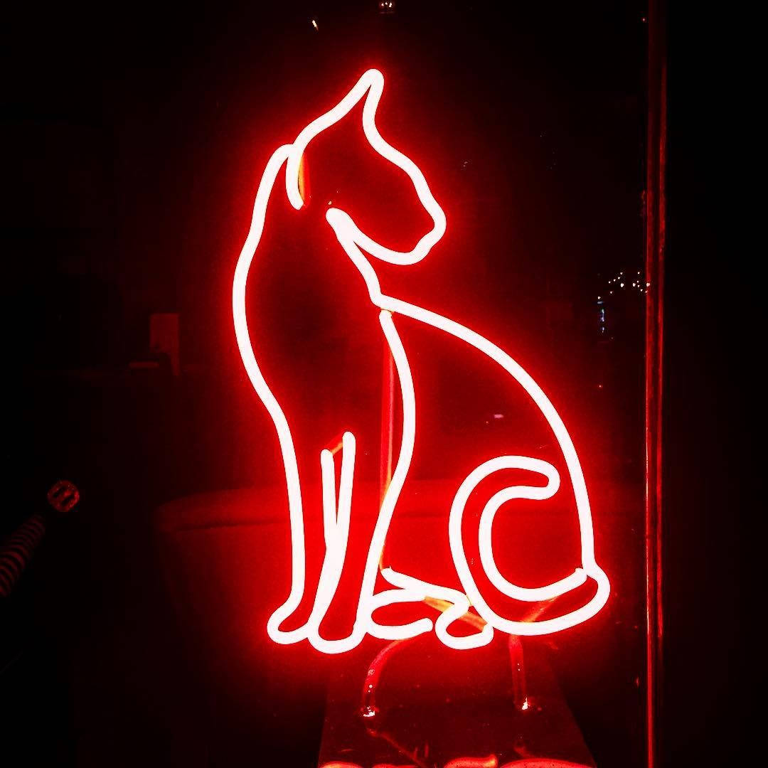red aesthetic neon, cat silhouette, neon sign, SD Desktop Wallpaper