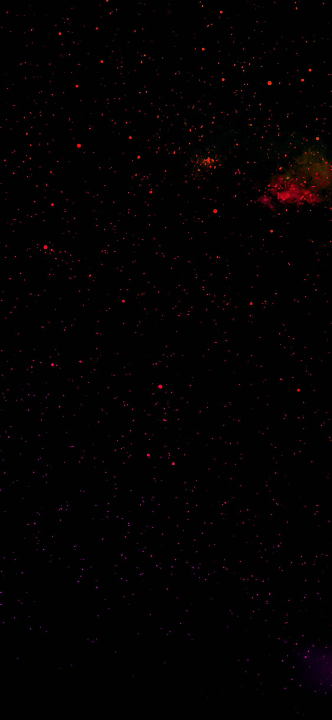 Red and Black iPhone, deep black cosmic void, glowing red stars, Full HD Phone Wallpaper