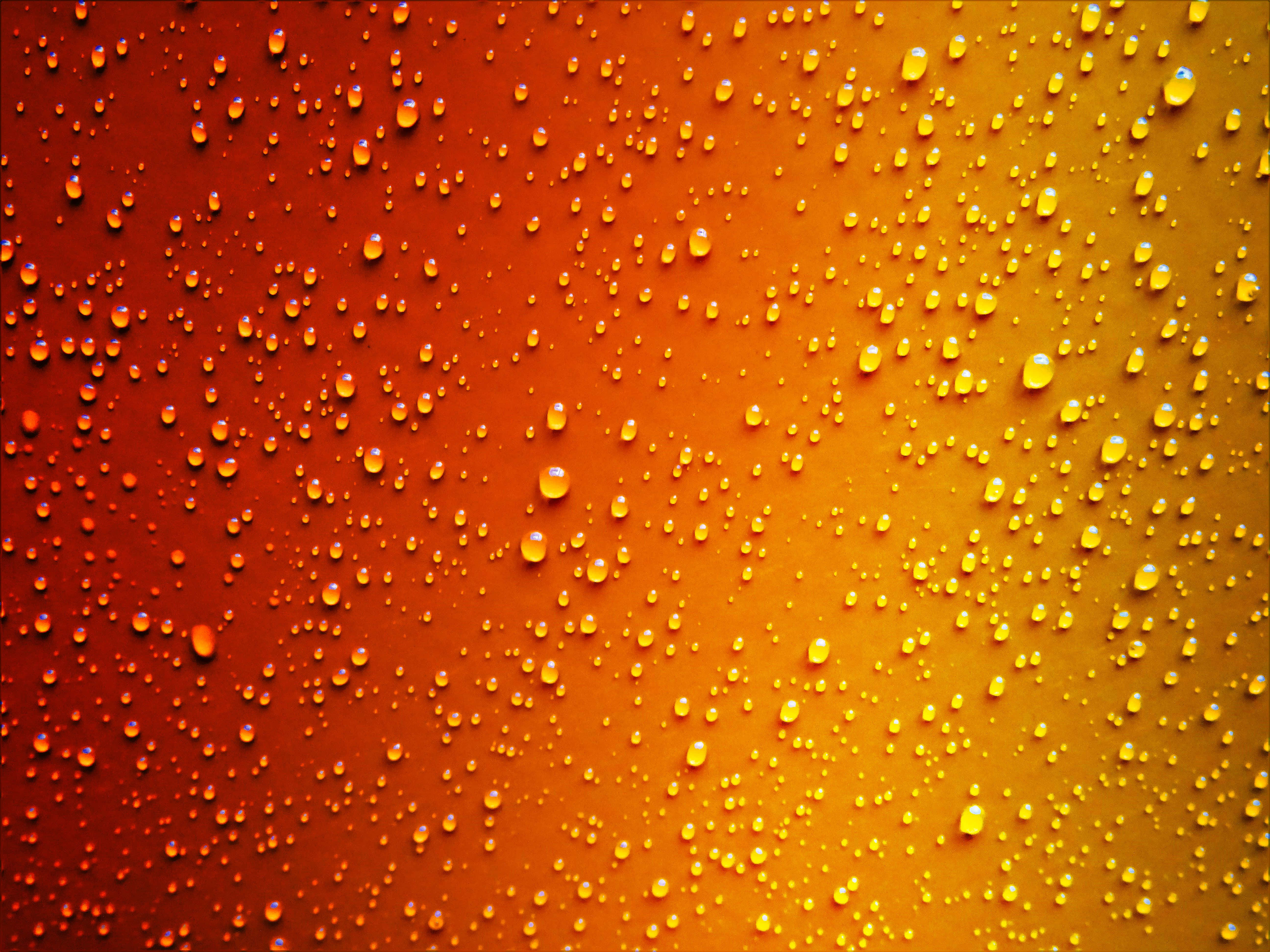 red, orange, golden yellow, 5K Desktop Wallpaper
