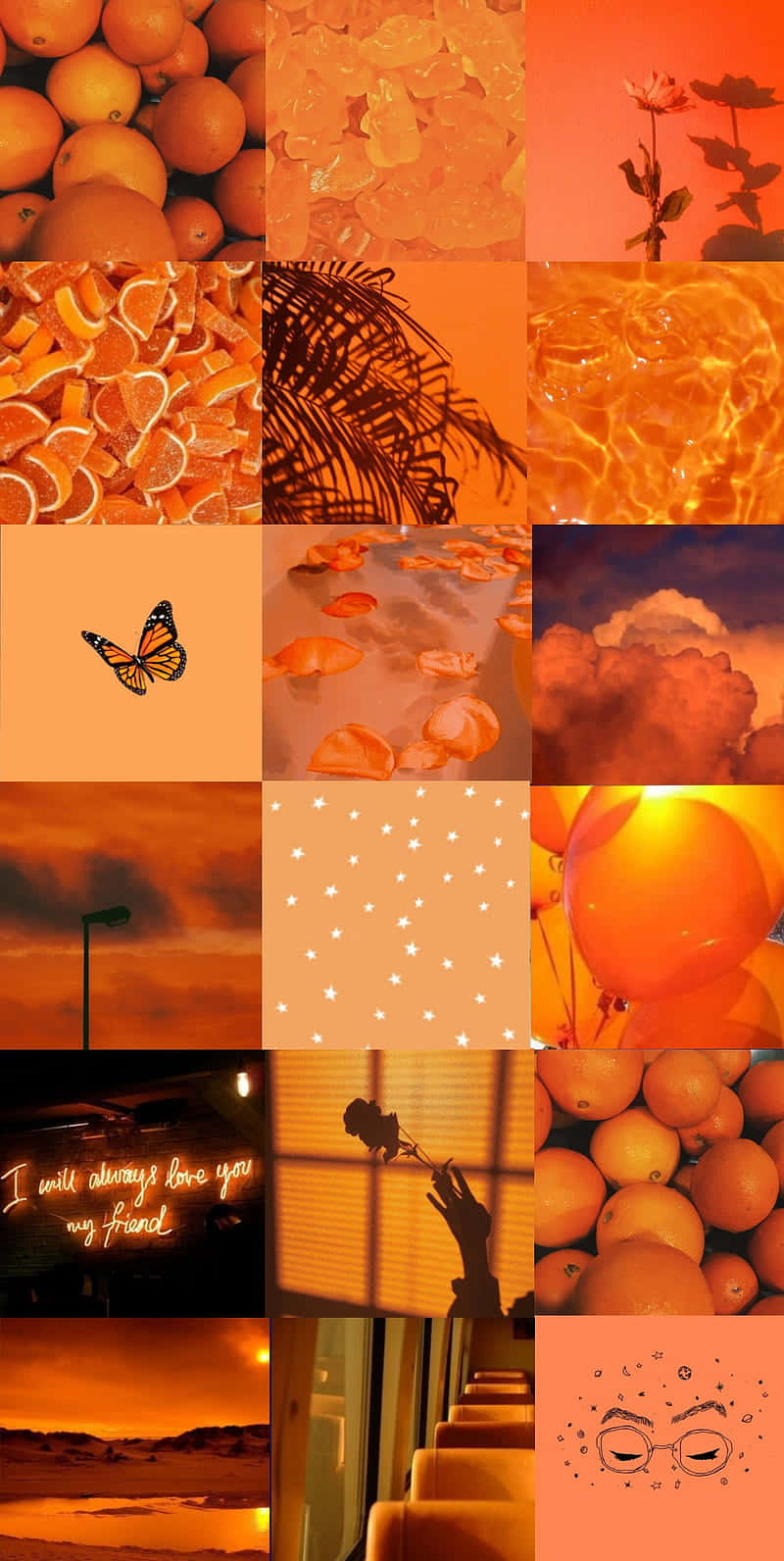 orange slices, palm leaves, butterflies, HD Phone Wallpaper