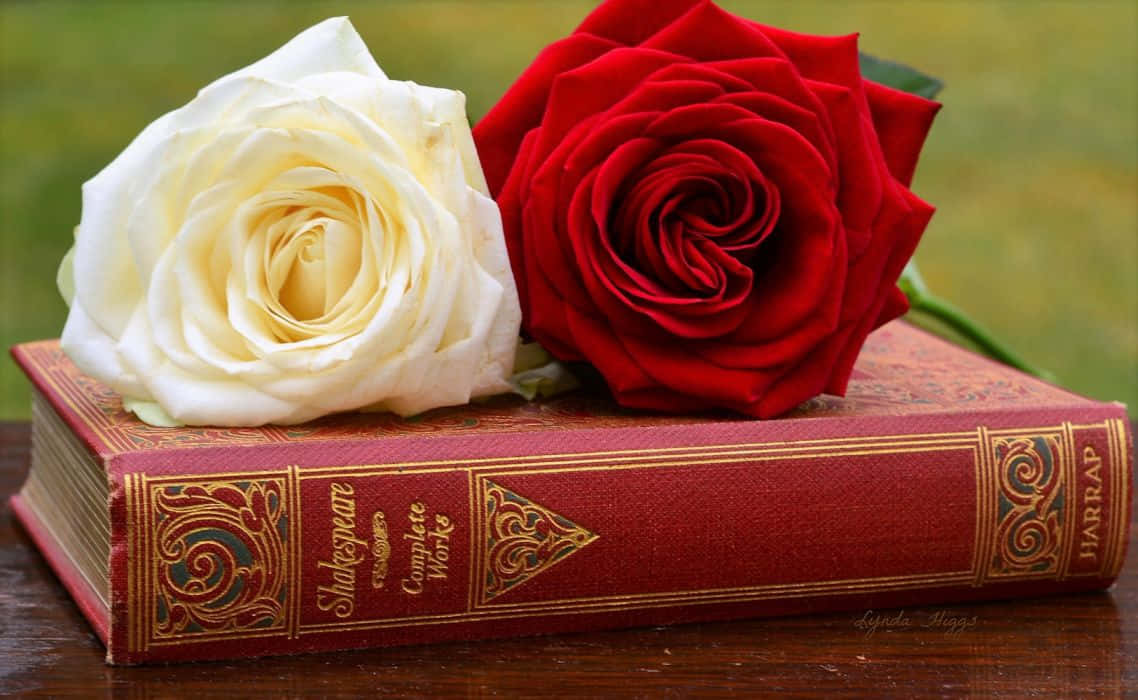Red And White Roses, vintage red book, gold embossing, SD Desktop Wallpaper