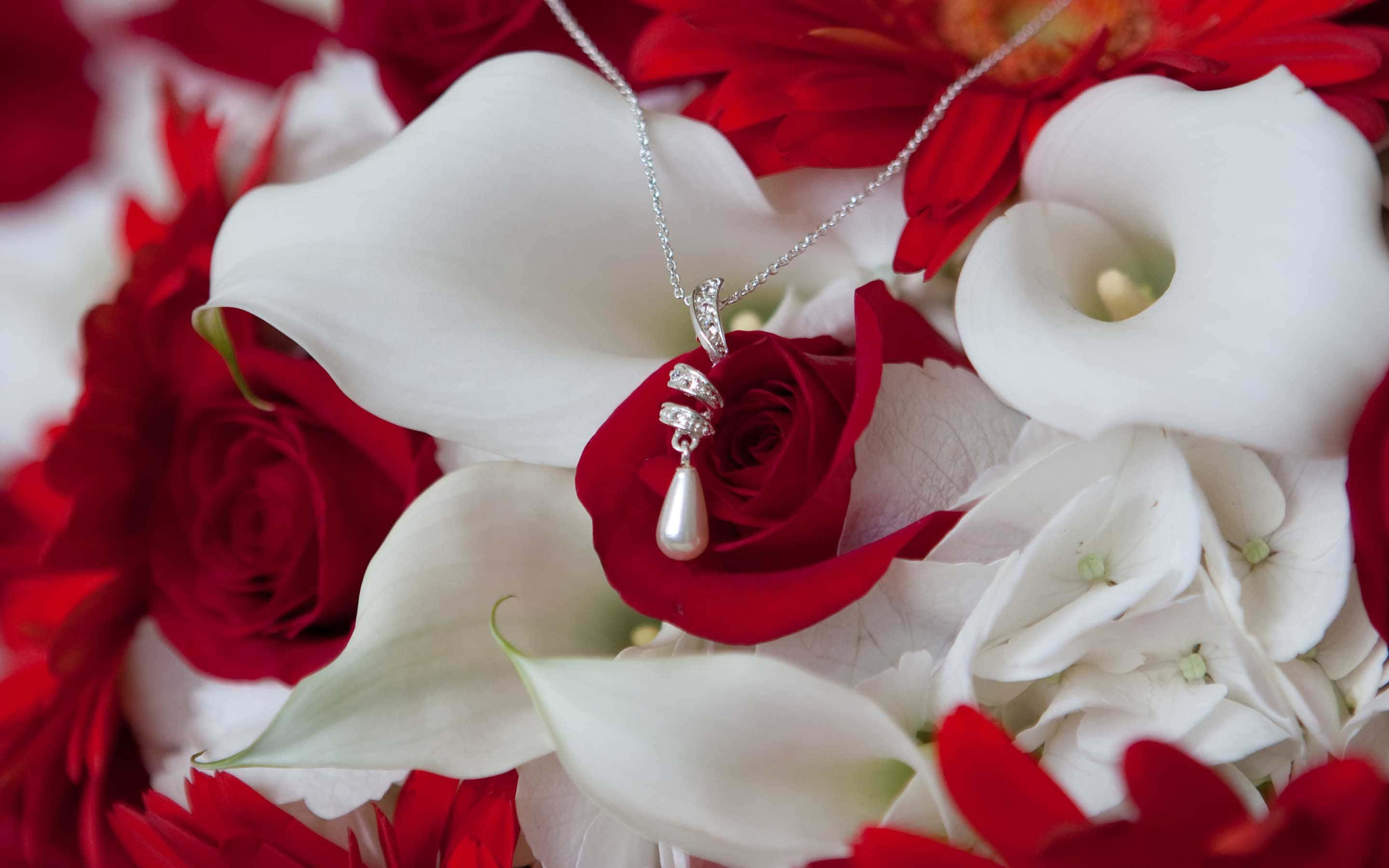 red roses, white calla lilies, silver pearl pendant necklace, 2K Desktop Wallpaper