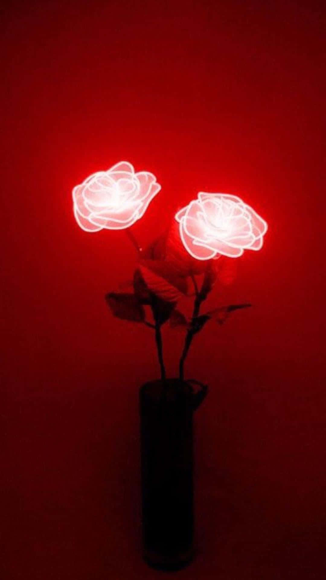 Red Glow Roses Aesthetic, neon roses, dark vase, HD Phone Wallpaper