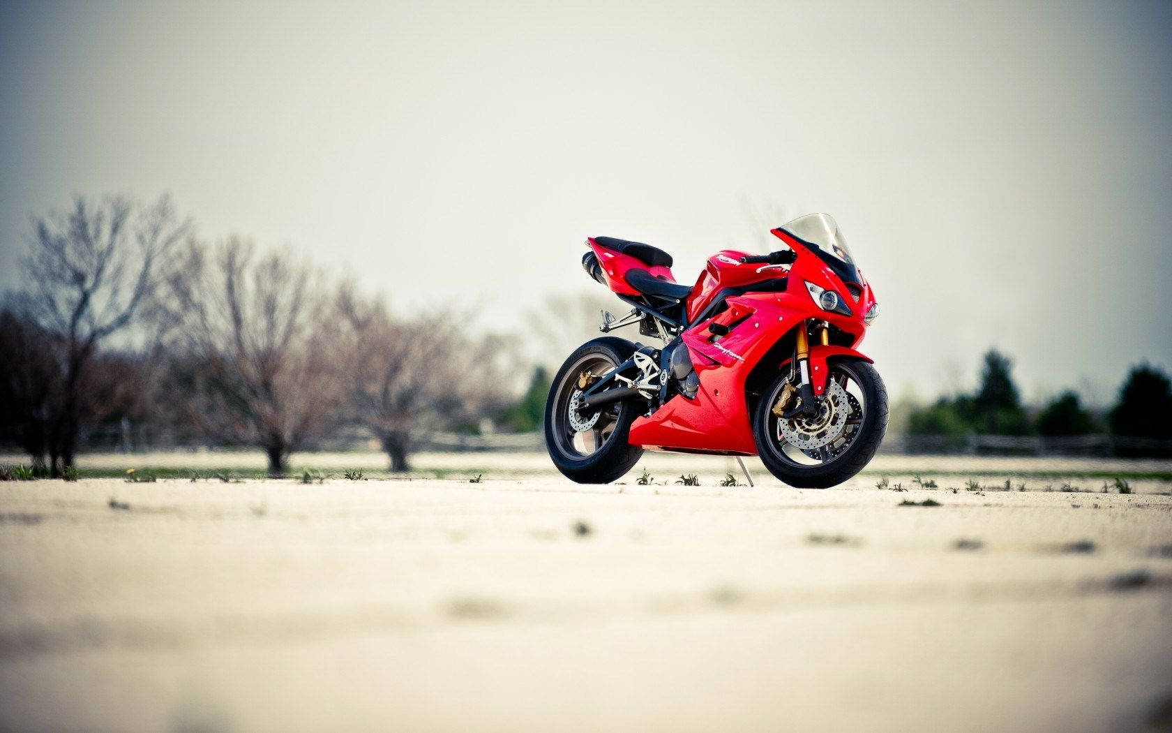 Red Bike, winter scene, barren field, HD Desktop Wallpaper