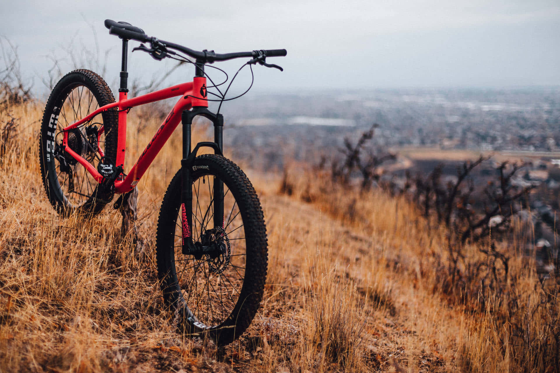 red mountain bike, dry golden grass, sprawling cityscape, Full HD Desktop Wallpaper
