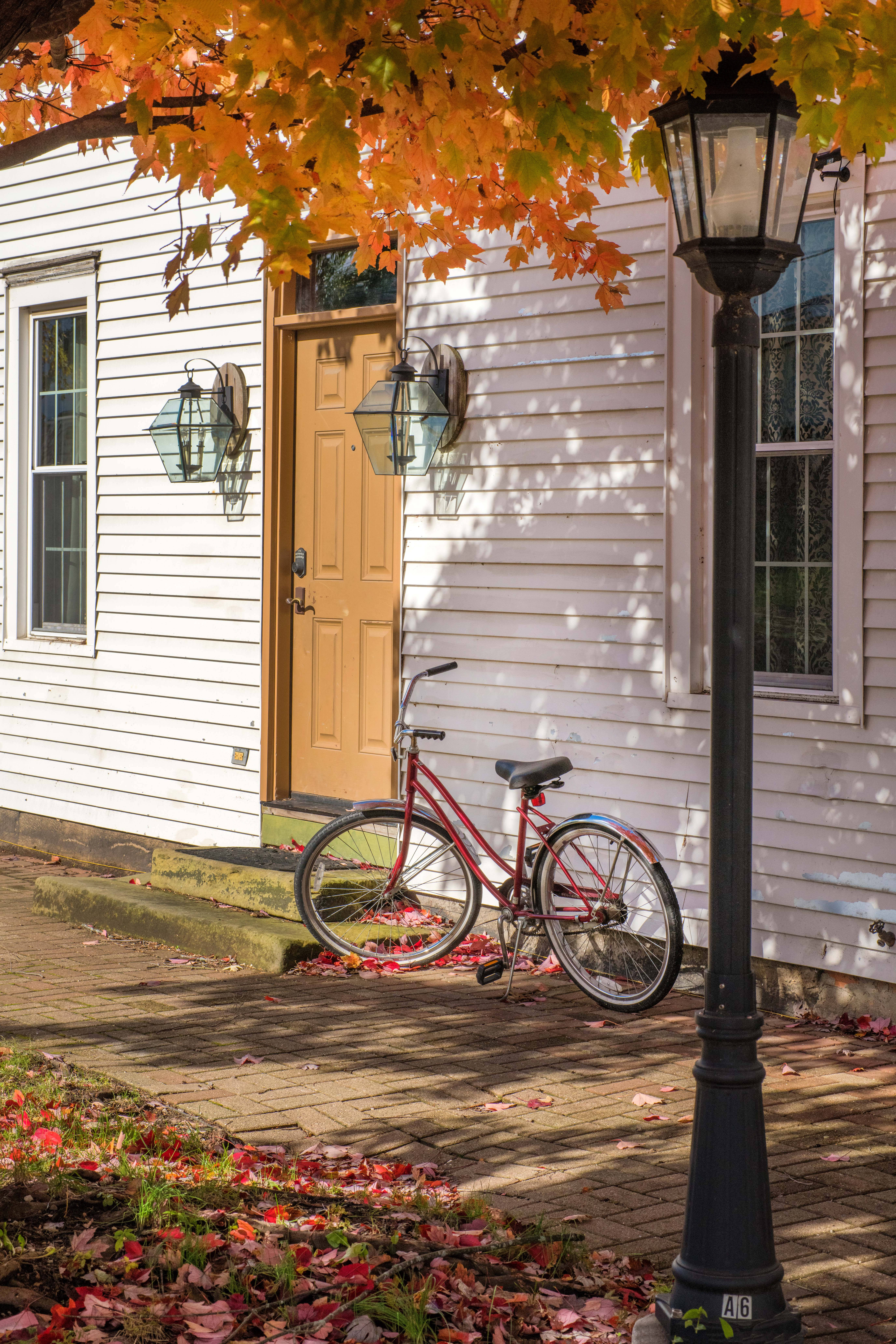 red bicycle, white clapboard house, vibrant orange autumn leaves, 8K Phone Wallpaper