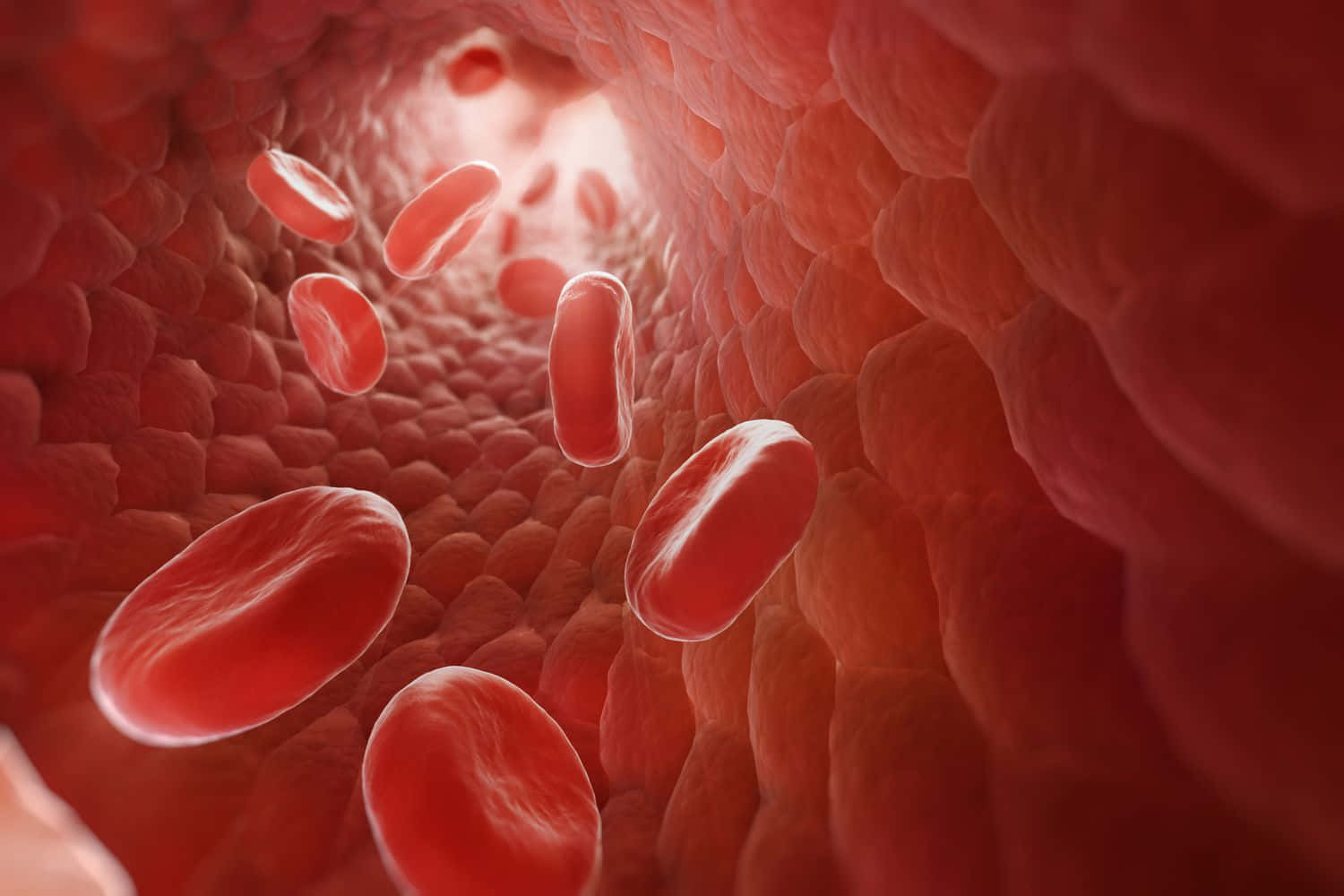 Red Blood Cells, artery tunnel, textured walls, HD Desktop Wallpaper