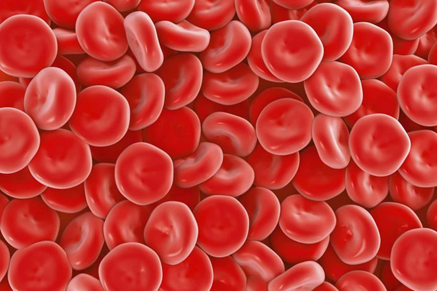 red blood cells, bloodstream, glossy surfaces, HD Desktop Wallpaper
