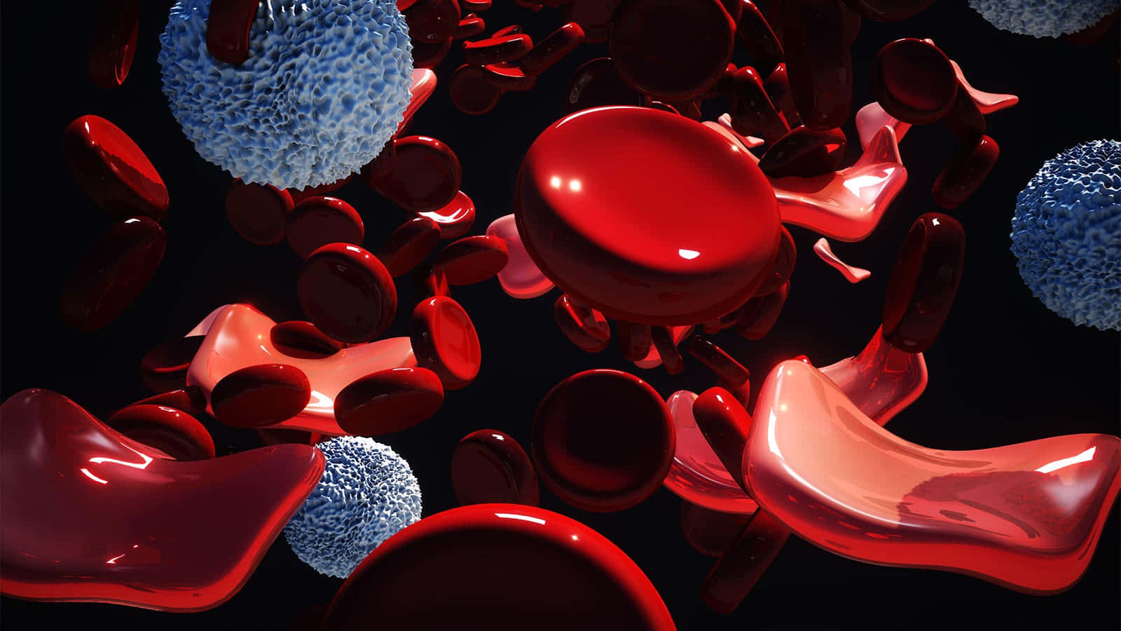 red blood cells, blue white blood cells, 3d-rendered, HD Desktop Wallpaper
