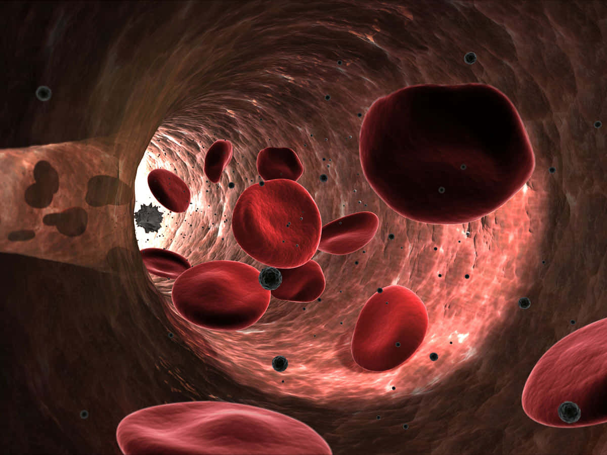 red blood cells, glowing artery tunnel, dark specks, SD Desktop Wallpaper